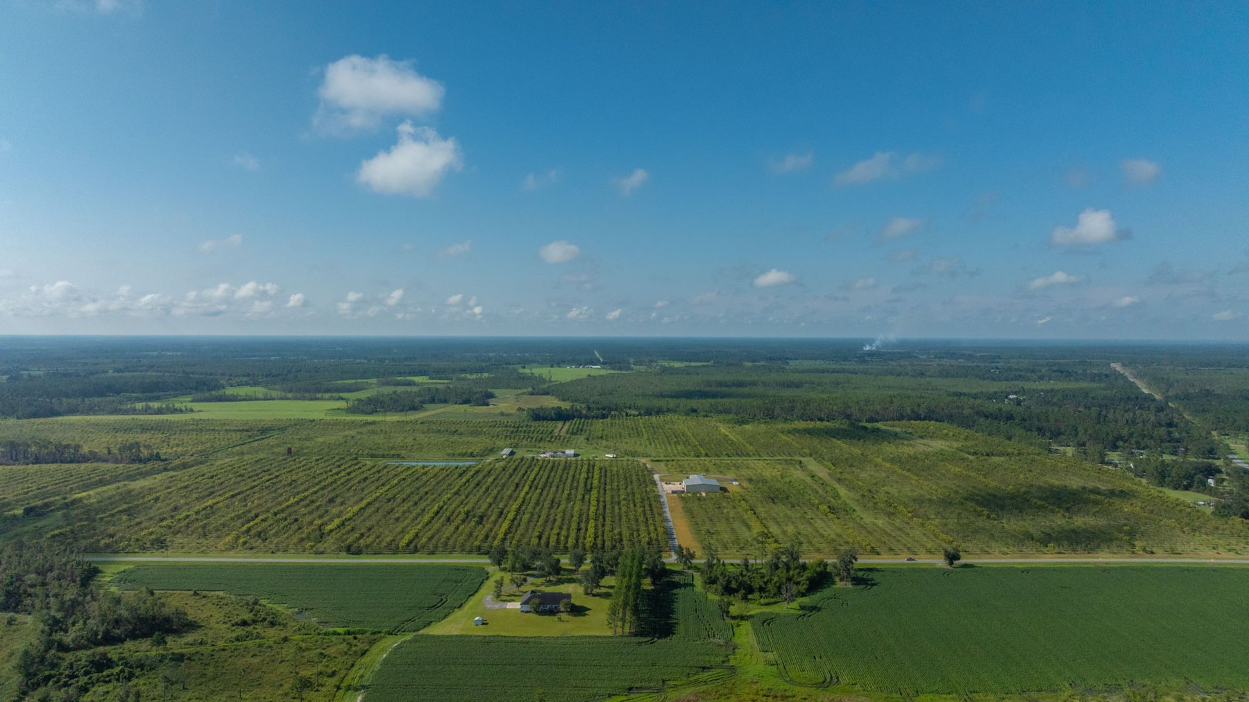 Image for 323± Acres - O’Brien Orchard - Prime Location with Future Growth Potential - Homesites & Investment Appeal - Irrigated Orchard & Cleaning Facility