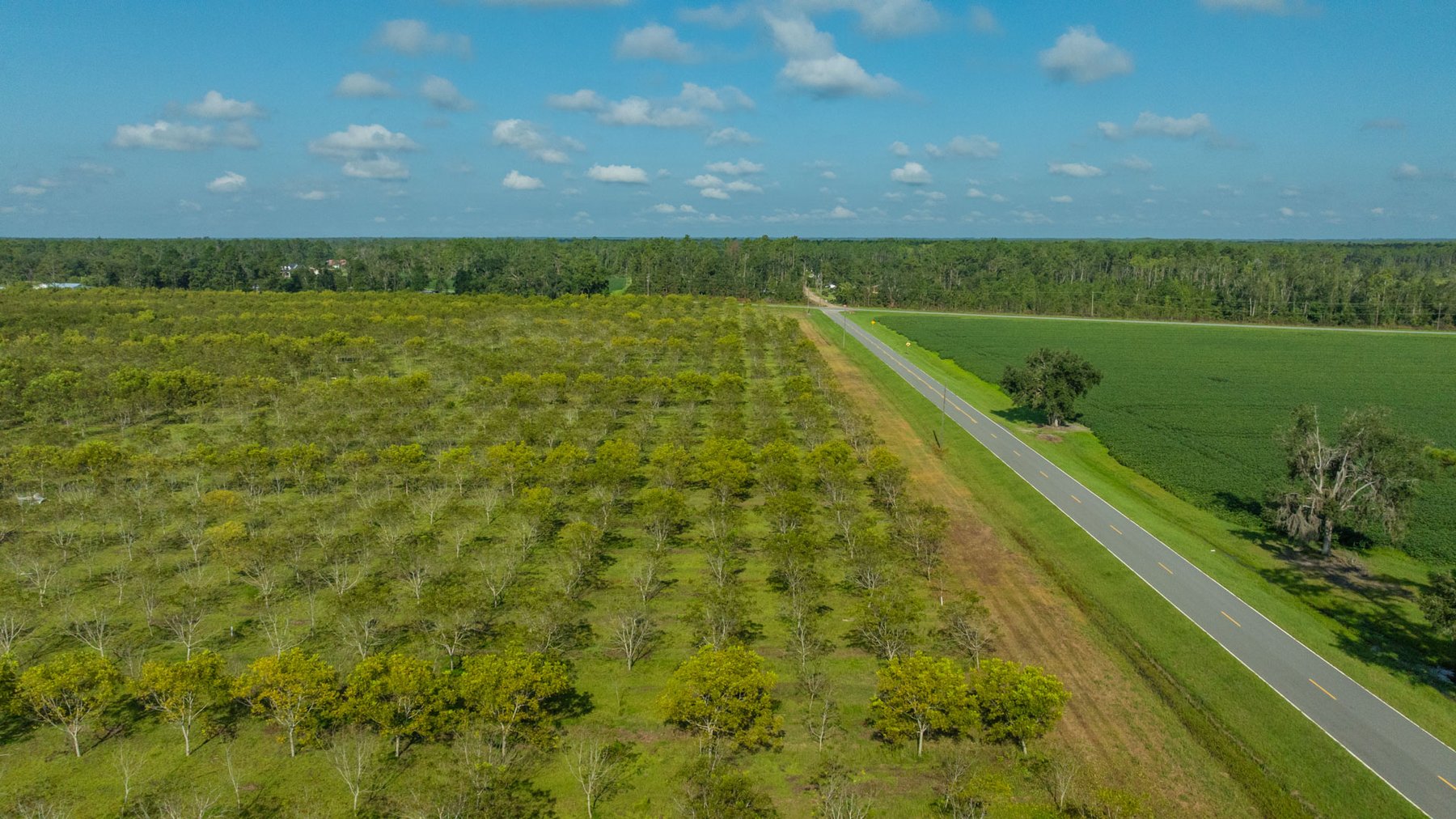 Image for 323± Acres - O’Brien Orchard - Prime Location with Future Growth Potential - Homesites & Investment Appeal - Irrigated Orchard & Cleaning Facility
