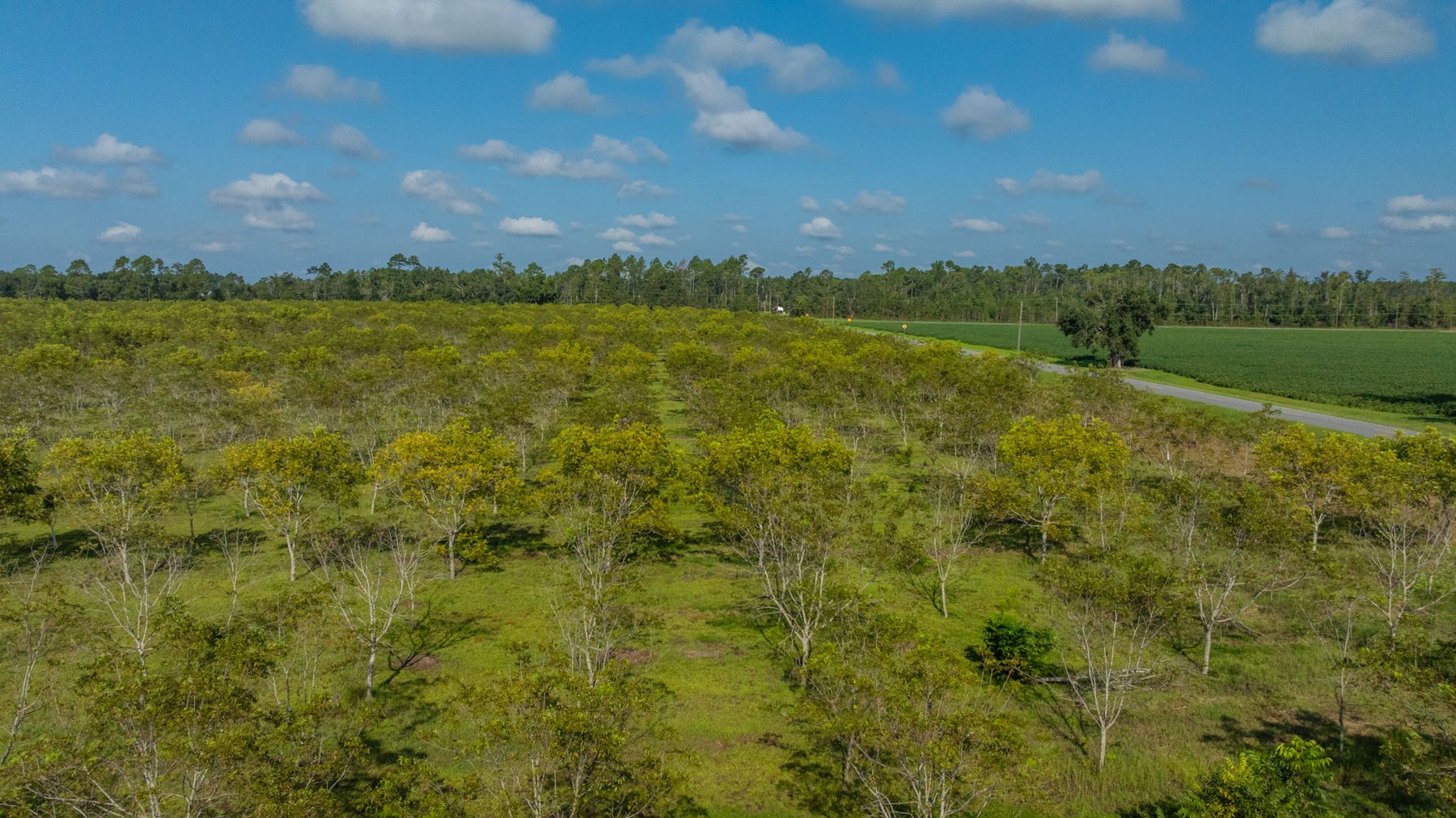 Image for 323± Acres - O’Brien Orchard - Prime Location with Future Growth Potential - Homesites & Investment Appeal - Irrigated Orchard & Cleaning Facility