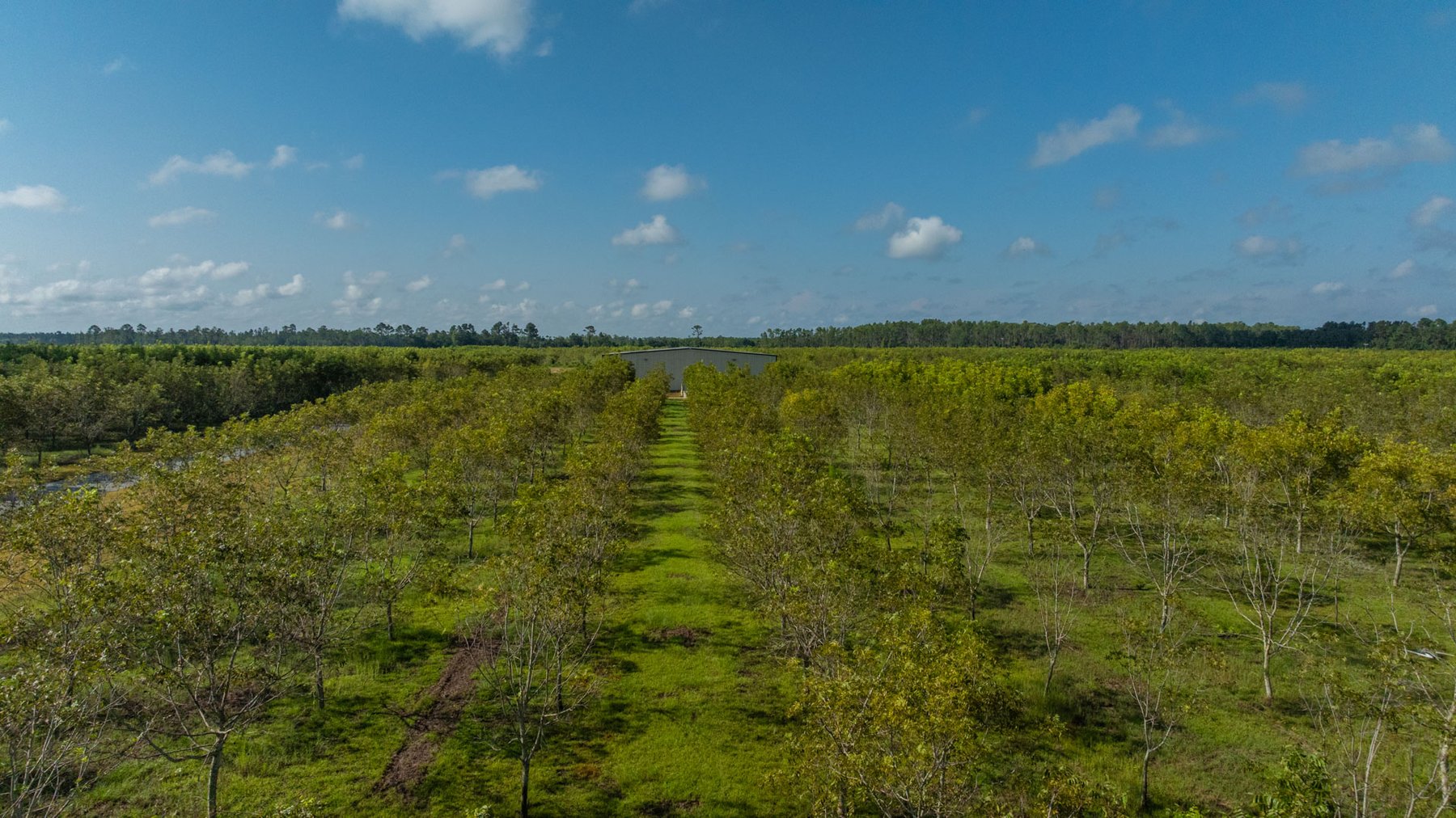 Image for 323± Acres - O’Brien Orchard - Prime Location with Future Growth Potential - Homesites & Investment Appeal - Irrigated Orchard & Cleaning Facility