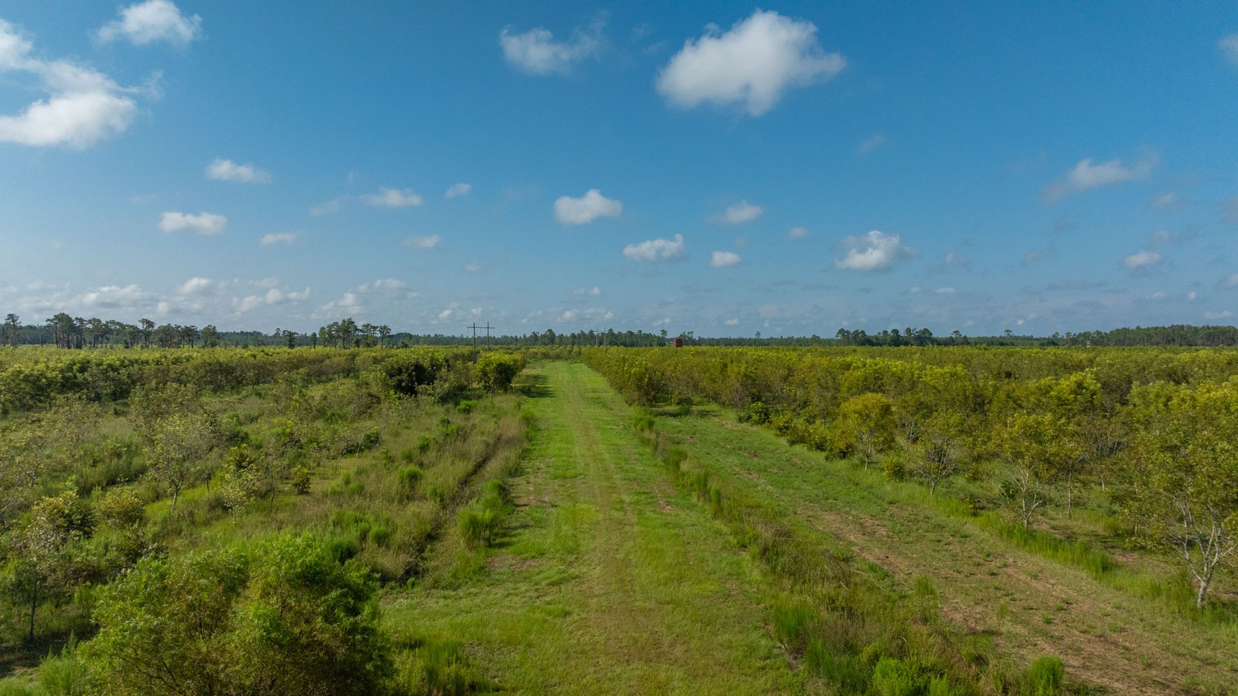 Image for 323± Acres - O’Brien Orchard - Prime Location with Future Growth Potential - Homesites & Investment Appeal - Irrigated Orchard & Cleaning Facility