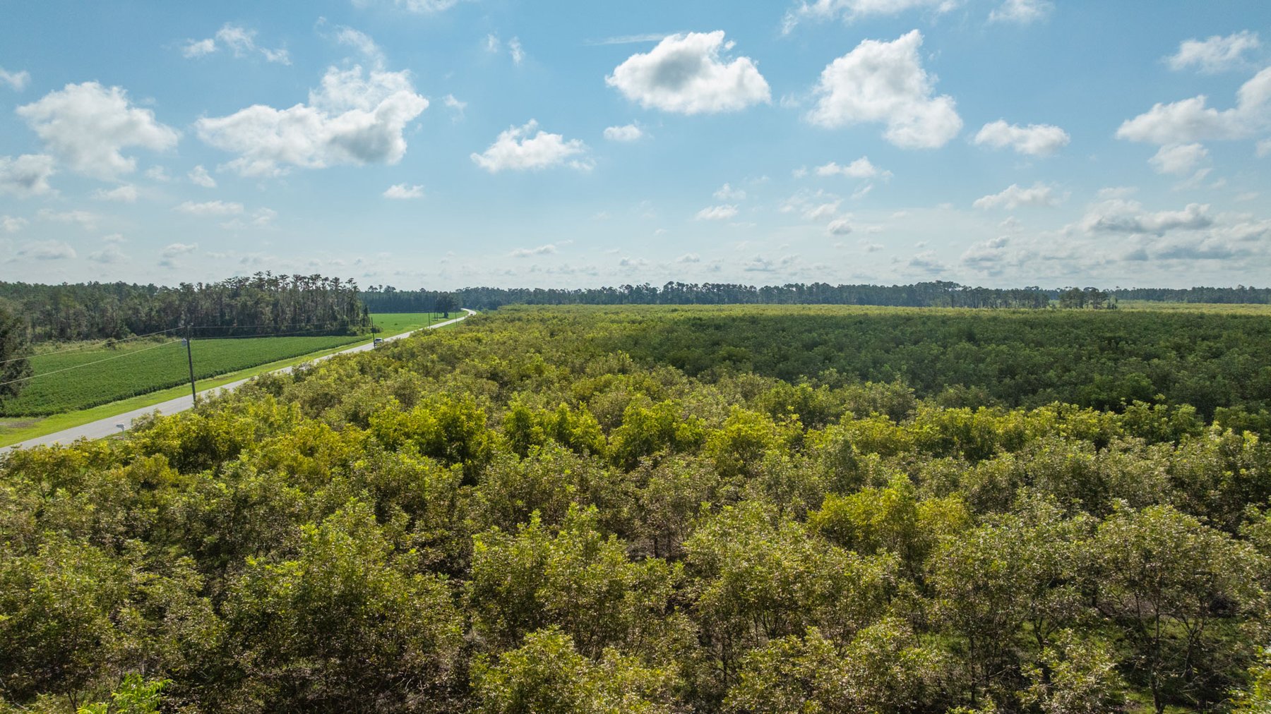 Image for 323± Acres - O’Brien Orchard - Prime Location with Future Growth Potential - Homesites & Investment Appeal - Irrigated Orchard & Cleaning Facility
