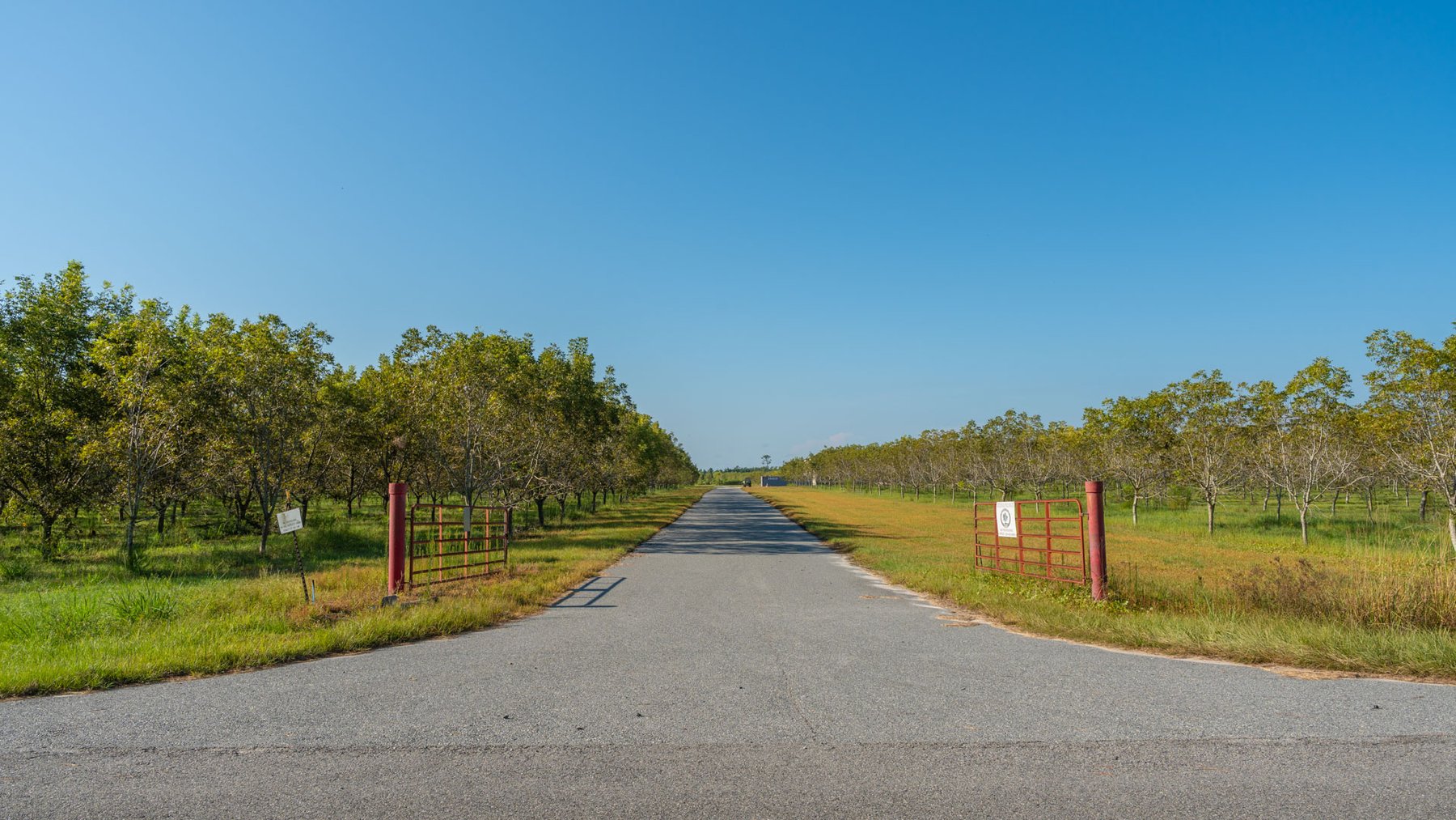 Image for 323± Acres - O’Brien Orchard - Prime Location with Future Growth Potential - Homesites & Investment Appeal - Irrigated Orchard & Cleaning Facility