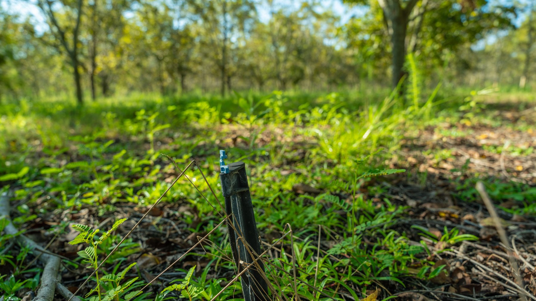 Image for 323± Acres - O’Brien Orchard - Prime Location with Future Growth Potential - Homesites & Investment Appeal - Irrigated Orchard & Cleaning Facility