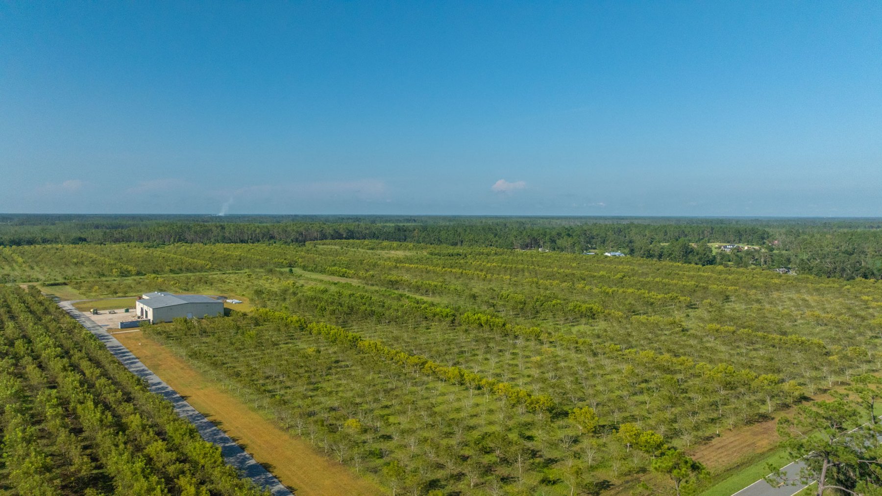 Image for 323± Acres - O’Brien Orchard - Prime Location with Future Growth Potential - Homesites & Investment Appeal - Irrigated Orchard & Cleaning Facility