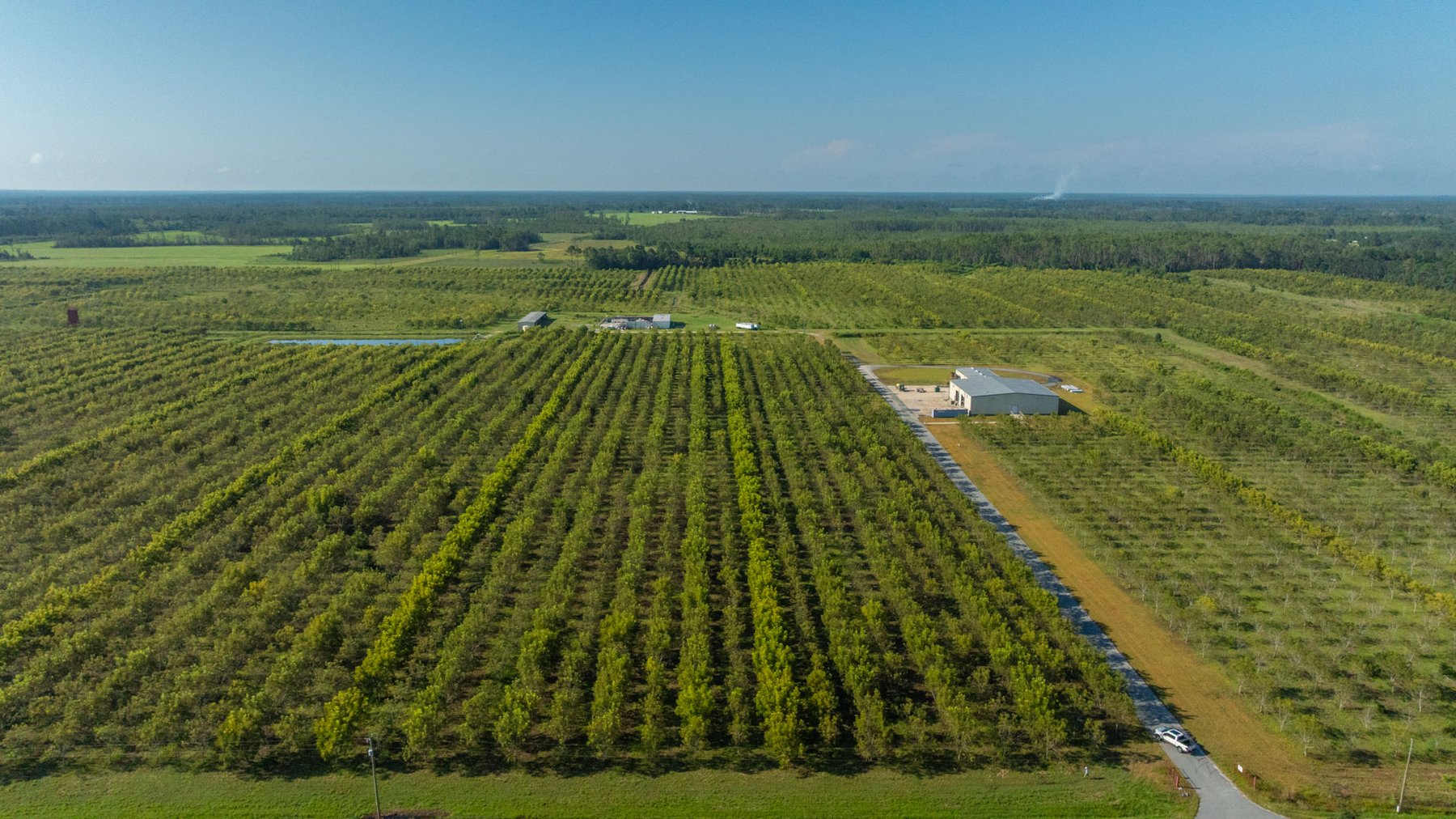Image for 323± Acres - O’Brien Orchard - Prime Location with Future Growth Potential - Homesites & Investment Appeal - Irrigated Orchard & Cleaning Facility