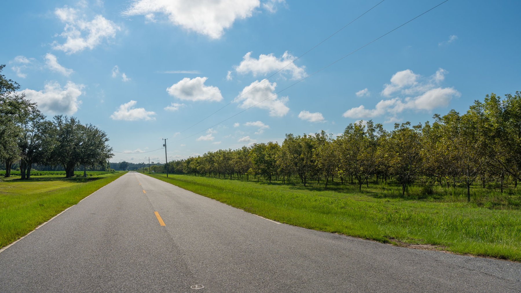 Image for 323± Acres - O’Brien Orchard - Prime Location with Future Growth Potential - Homesites & Investment Appeal - Irrigated Orchard & Cleaning Facility
