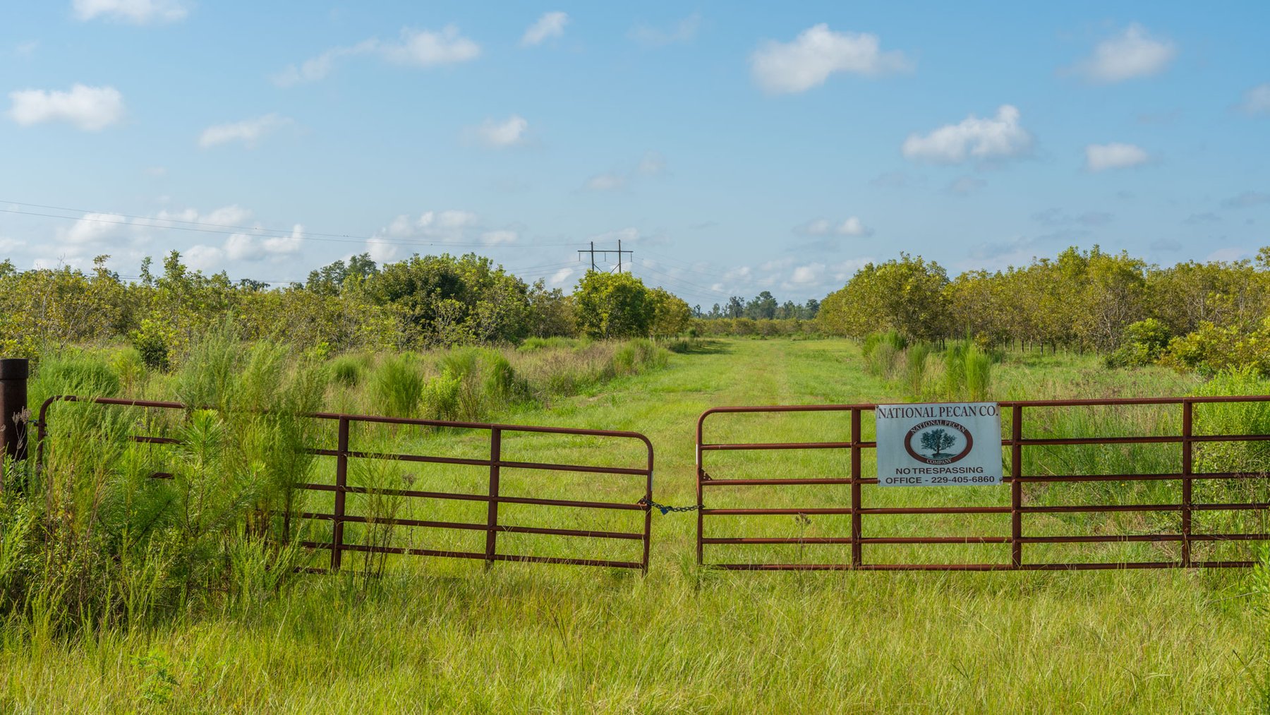 Image for 323± Acres - O’Brien Orchard - Prime Location with Future Growth Potential - Homesites & Investment Appeal - Irrigated Orchard & Cleaning Facility