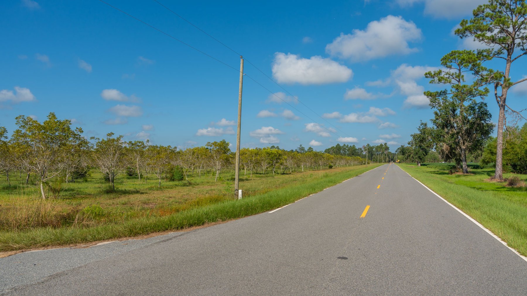 Image for 323± Acres - O’Brien Orchard - Prime Location with Future Growth Potential - Homesites & Investment Appeal - Irrigated Orchard & Cleaning Facility