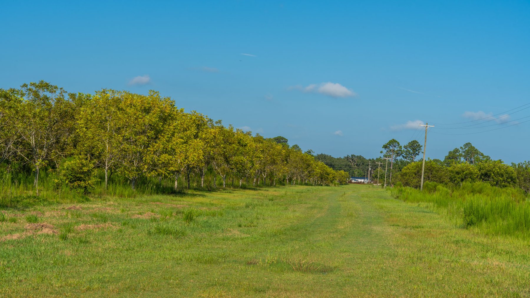 Image for 323± Acres - O’Brien Orchard - Prime Location with Future Growth Potential - Homesites & Investment Appeal - Irrigated Orchard & Cleaning Facility