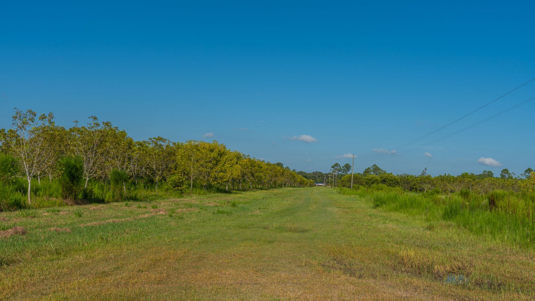 Image for 323± Acres - O’Brien Orchard - Prime Location with Future Growth Potential - Homesites & Investment Appeal - Irrigated Orchard & Cleaning Facility