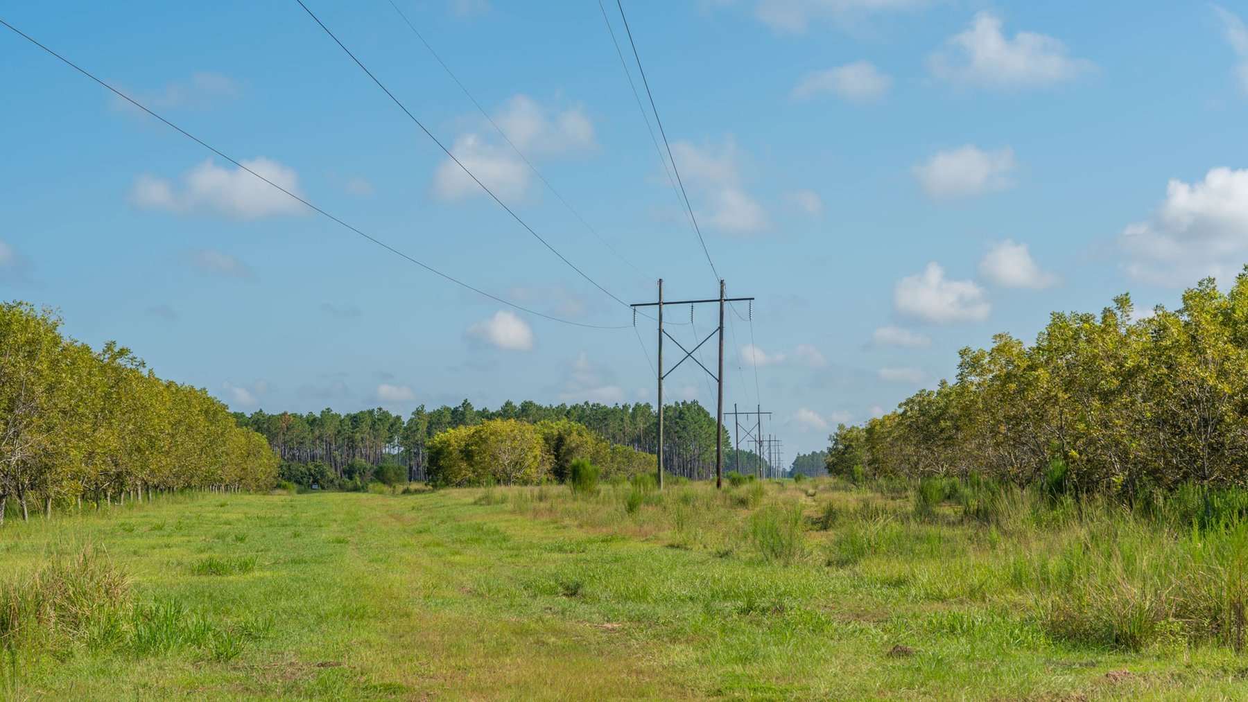 Image for 323± Acres - O’Brien Orchard - Prime Location with Future Growth Potential - Homesites & Investment Appeal - Irrigated Orchard & Cleaning Facility