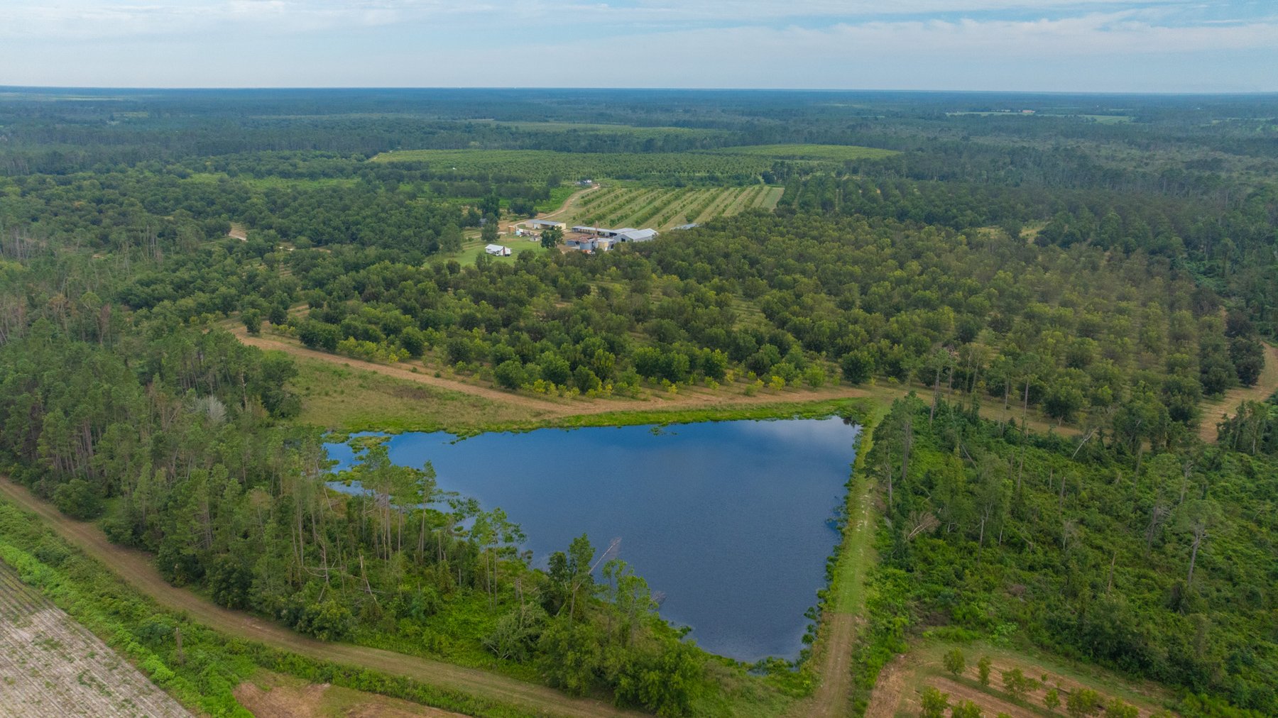Image for 1,181± Acres - Patten Orchard - Premium Irrigated Pecan Operation - Long-Term Orchard Income w/ Improvements - Merchantable Timber Stand & Creek Frontage