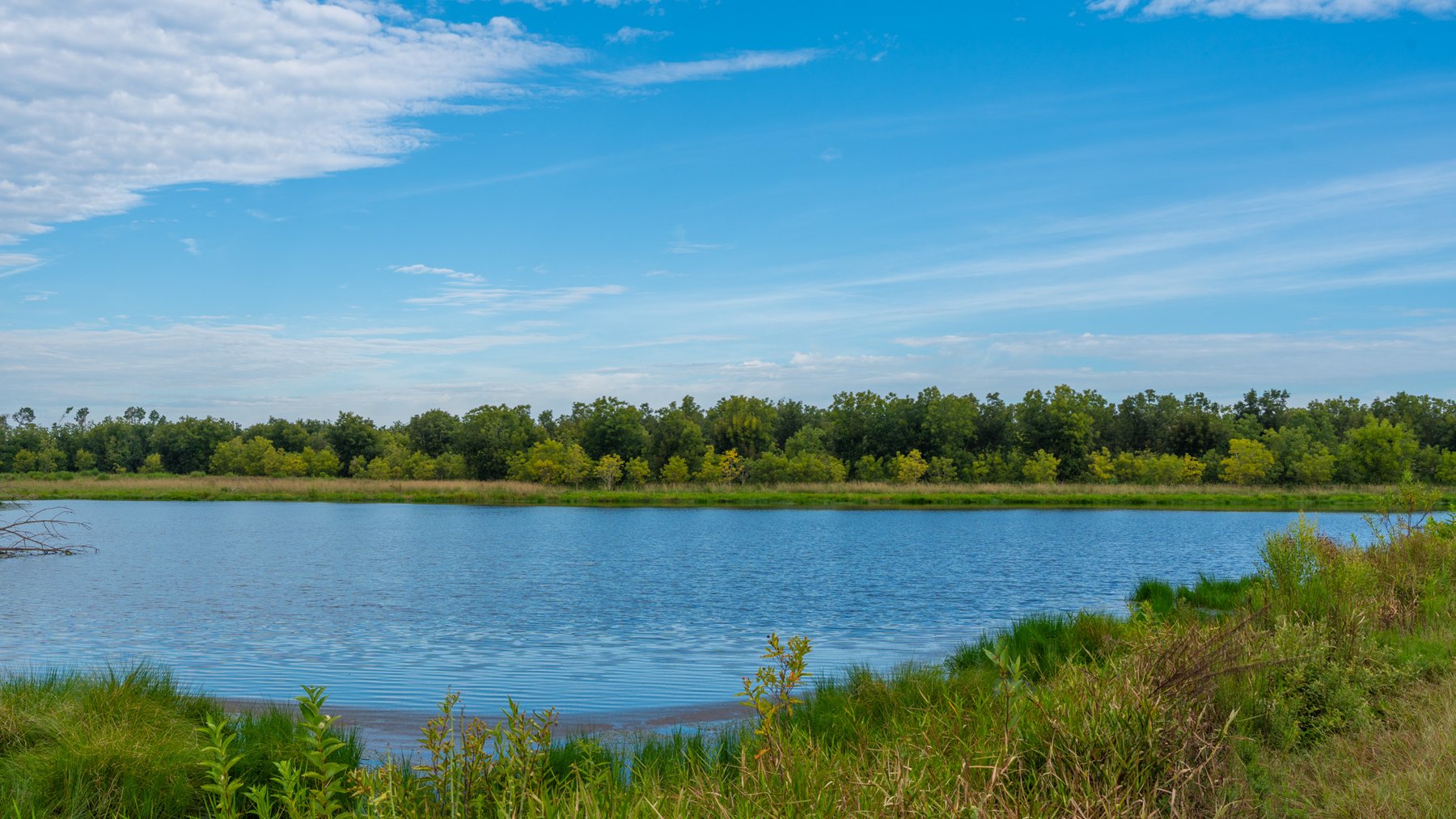 Image for 1,181± Acres - Patten Orchard - Premium Irrigated Pecan Operation - Long-Term Orchard Income w/ Improvements - Merchantable Timber Stand & Creek Frontage