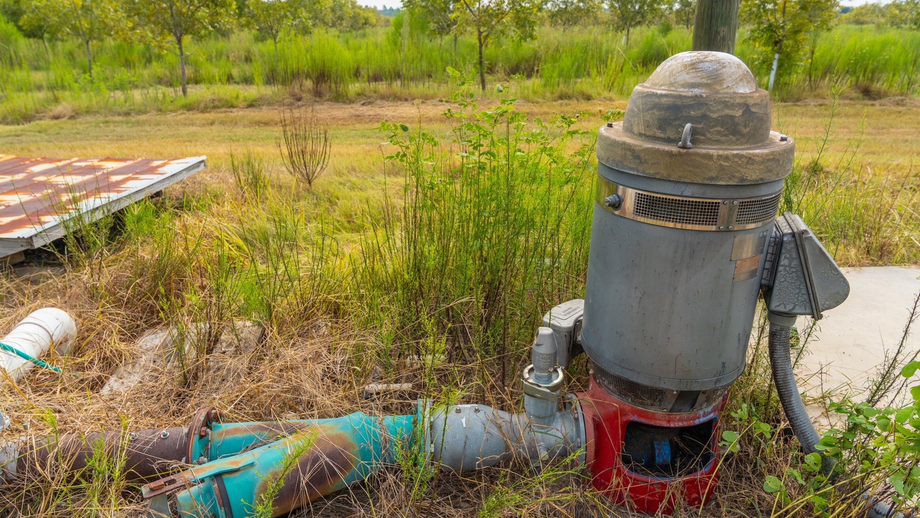 Image for 1,181± Acres - Patten Orchard - Premium Irrigated Pecan Operation - Long-Term Orchard Income w/ Improvements - Merchantable Timber Stand & Creek Frontage
