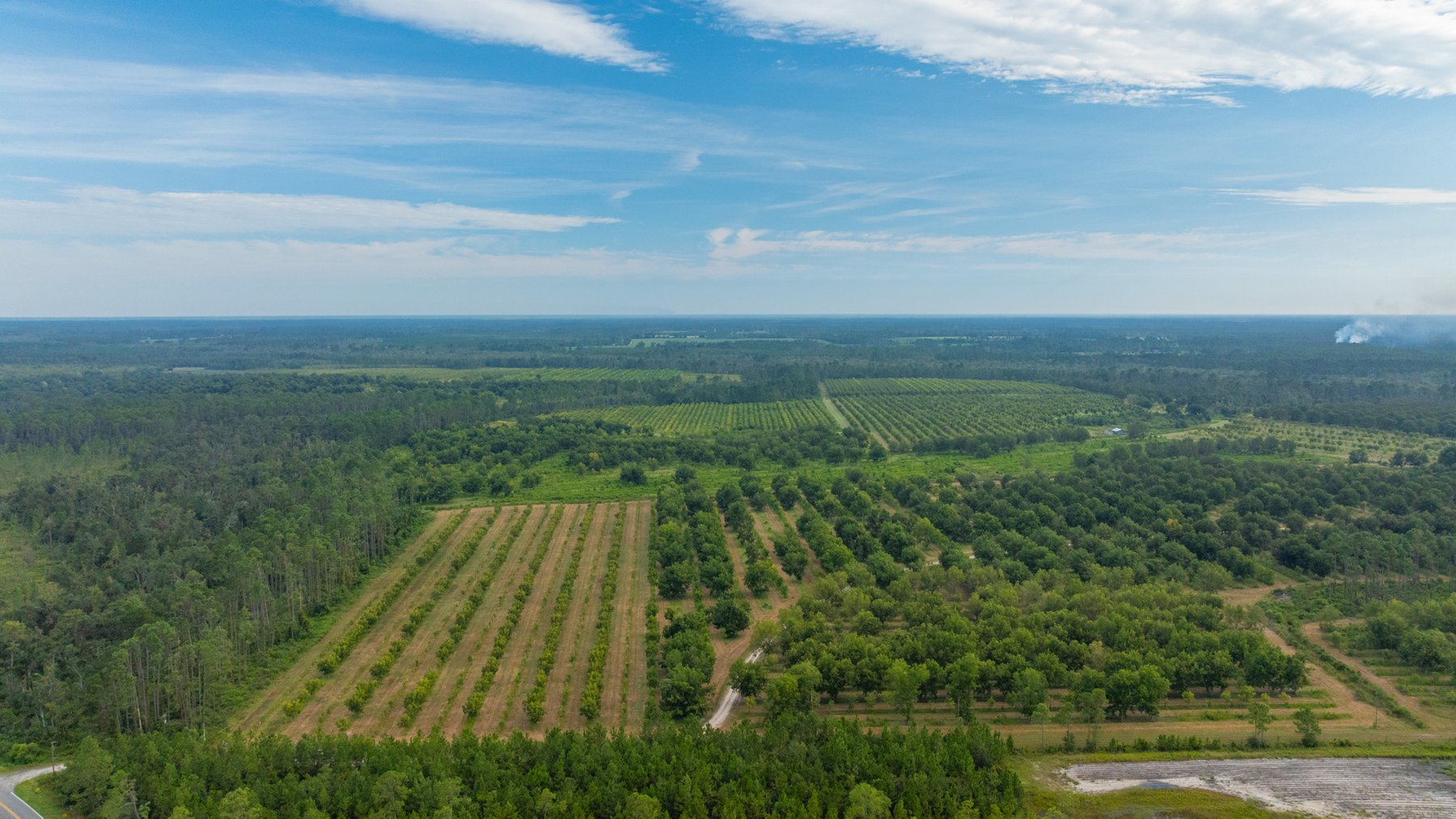 Image for 1,181± Acres - Patten Orchard - Premium Irrigated Pecan Operation - Long-Term Orchard Income w/ Improvements - Merchantable Timber Stand & Creek Frontage