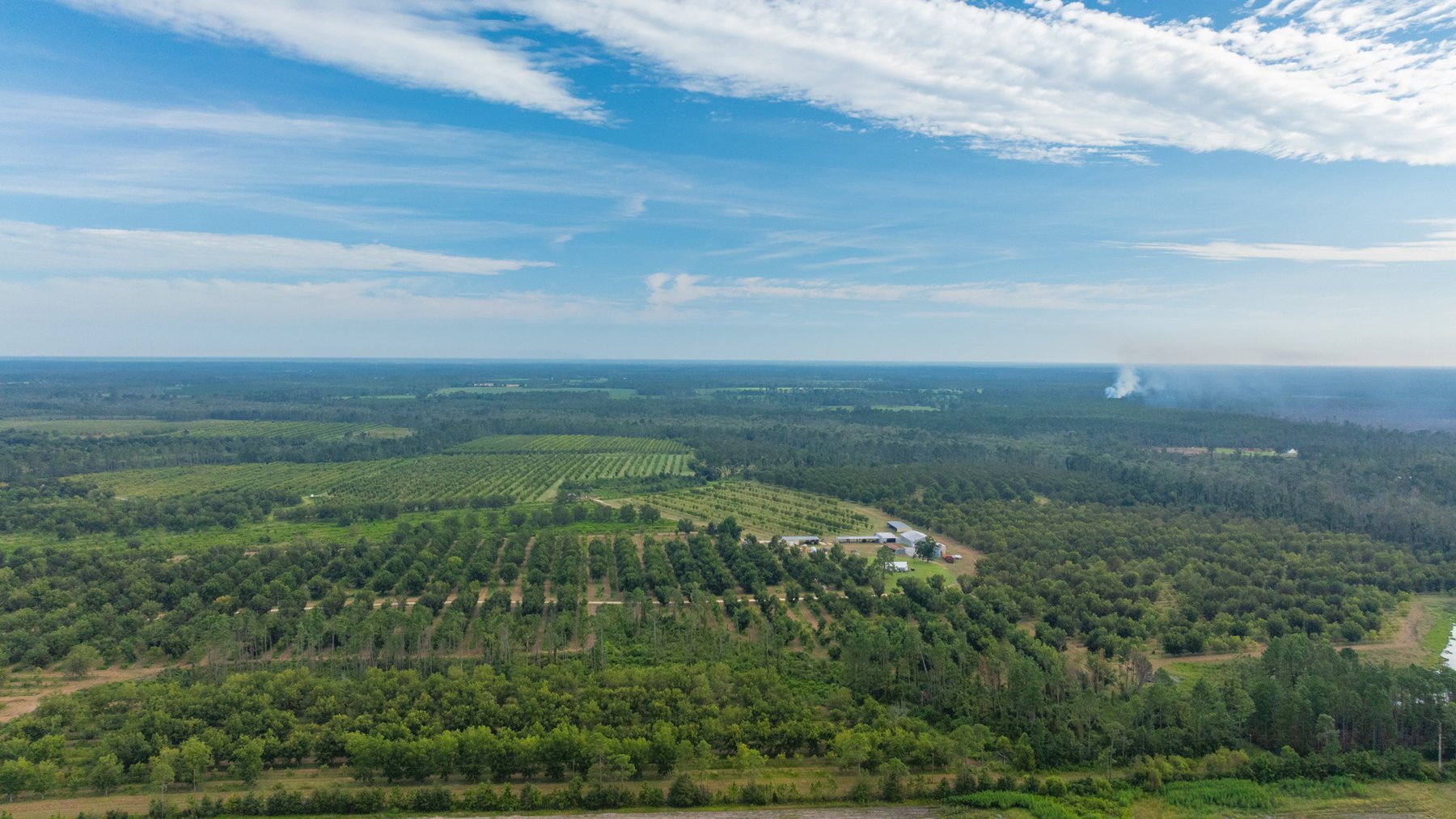 Image for 1,181± Acres - Patten Orchard - Premium Irrigated Pecan Operation - Long-Term Orchard Income w/ Improvements - Merchantable Timber Stand & Creek Frontage