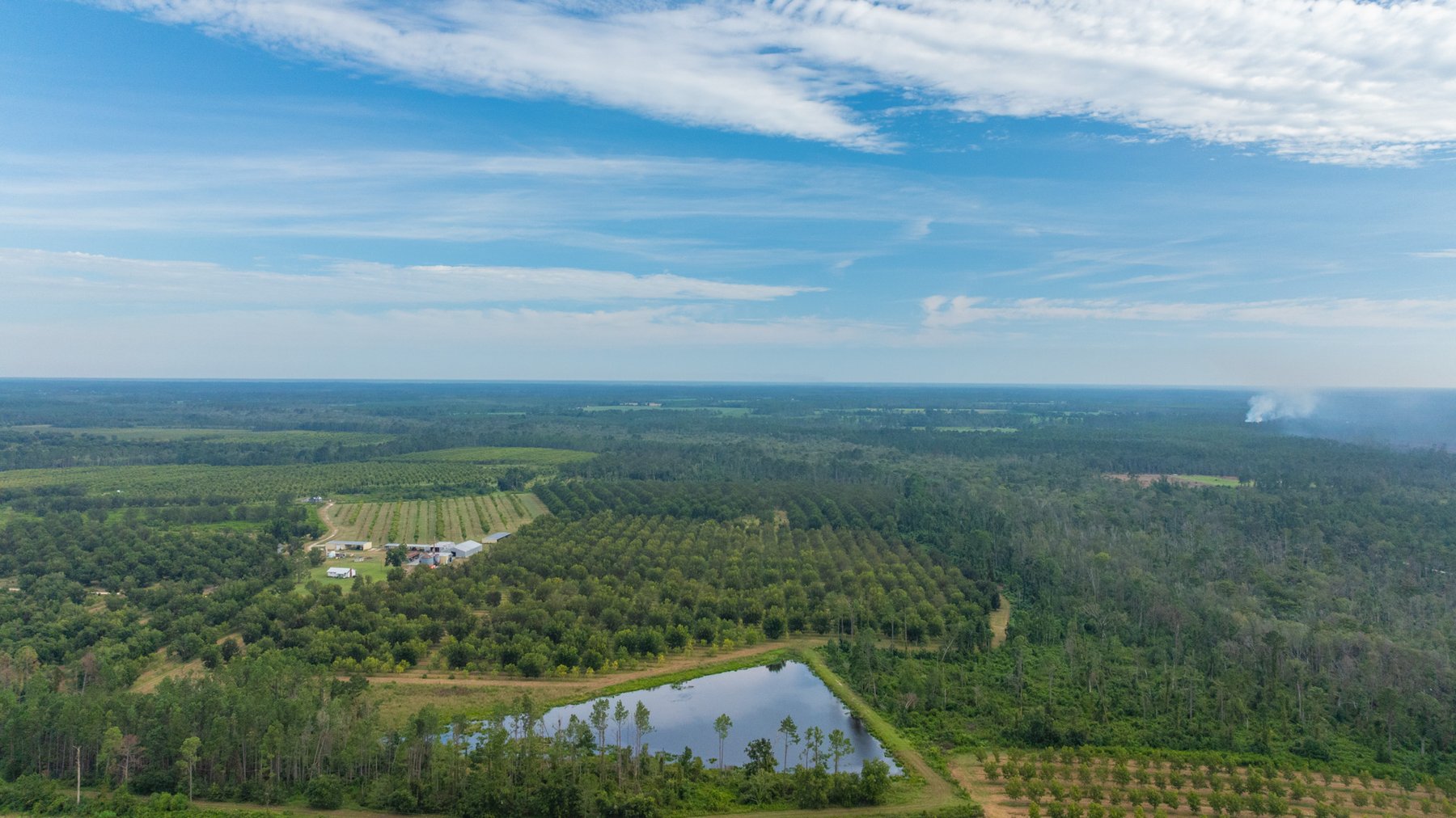 Image for 1,181± Acres - Patten Orchard - Premium Irrigated Pecan Operation - Long-Term Orchard Income w/ Improvements - Merchantable Timber Stand & Creek Frontage