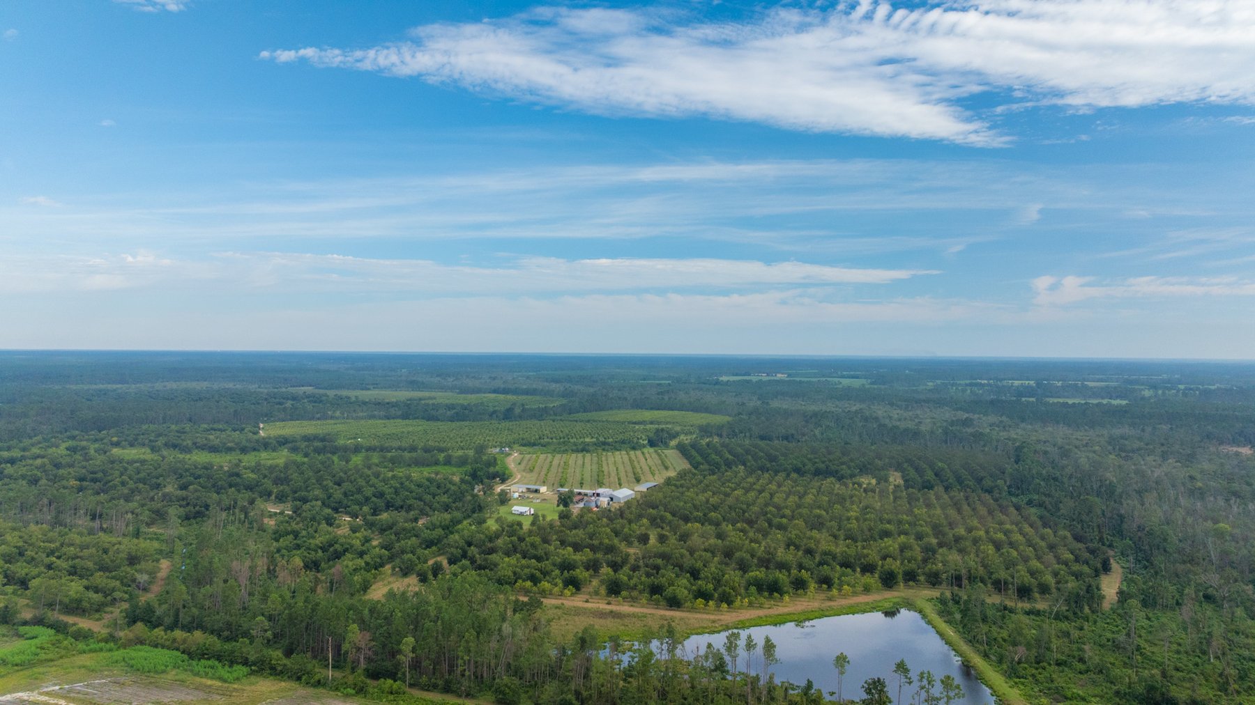 Image for 1,181± Acres - Patten Orchard - Premium Irrigated Pecan Operation - Long-Term Orchard Income w/ Improvements - Merchantable Timber Stand & Creek Frontage