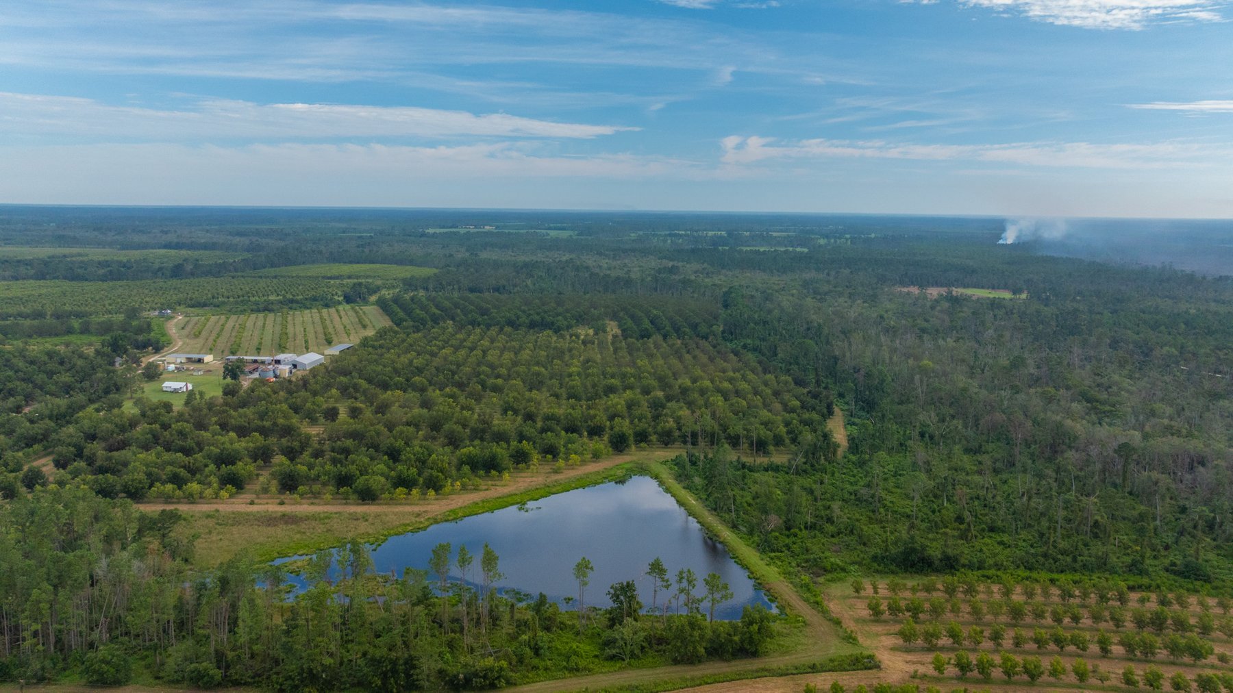 Image for 1,181± Acres - Patten Orchard - Premium Irrigated Pecan Operation - Long-Term Orchard Income w/ Improvements - Merchantable Timber Stand & Creek Frontage