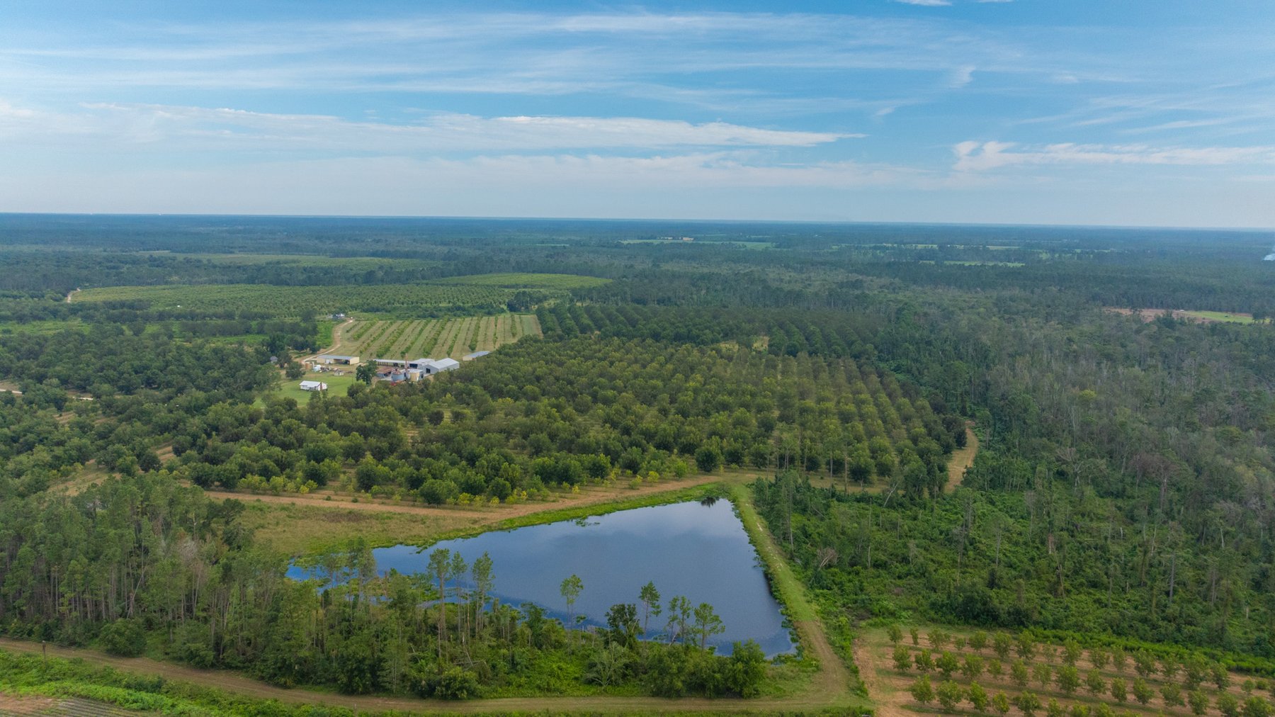 Image for 1,181± Acres - Patten Orchard - Premium Irrigated Pecan Operation - Long-Term Orchard Income w/ Improvements - Merchantable Timber Stand & Creek Frontage