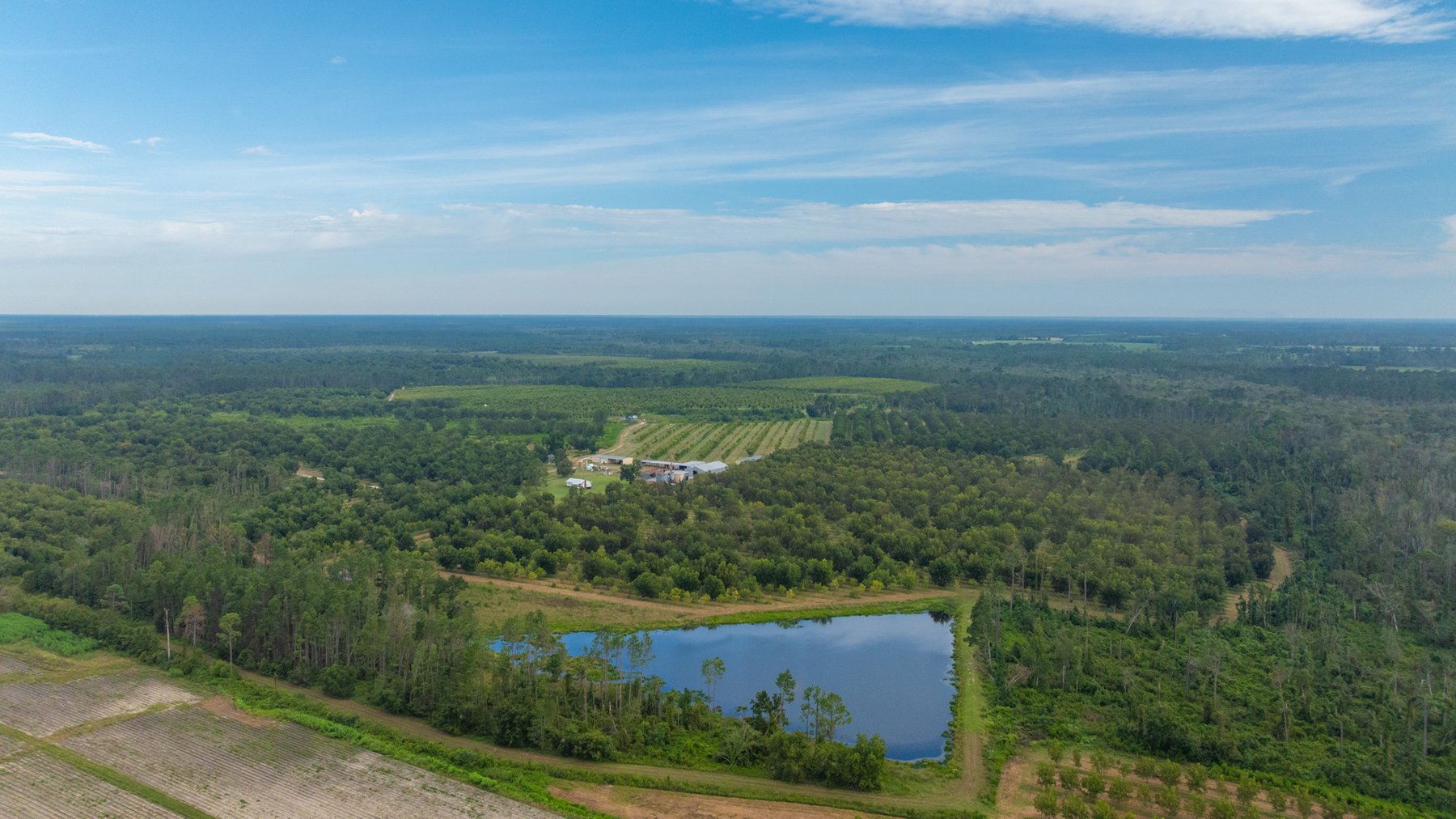 Image for 1,181± Acres - Patten Orchard - Premium Irrigated Pecan Operation - Long-Term Orchard Income w/ Improvements - Merchantable Timber Stand & Creek Frontage
