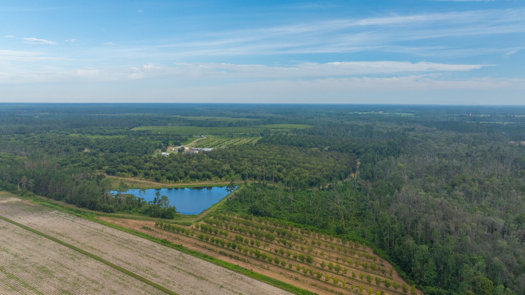 Image for 1,181± Acres - Patten Orchard - Premium Irrigated Pecan Operation - Long-Term Orchard Income w/ Improvements - Merchantable Timber Stand & Creek Frontage