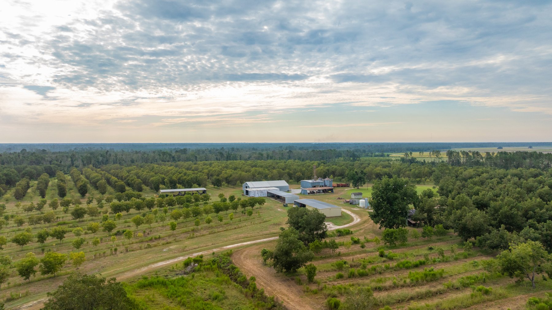 Image for 1,181± Acres - Patten Orchard - Premium Irrigated Pecan Operation - Long-Term Orchard Income w/ Improvements - Merchantable Timber Stand & Creek Frontage