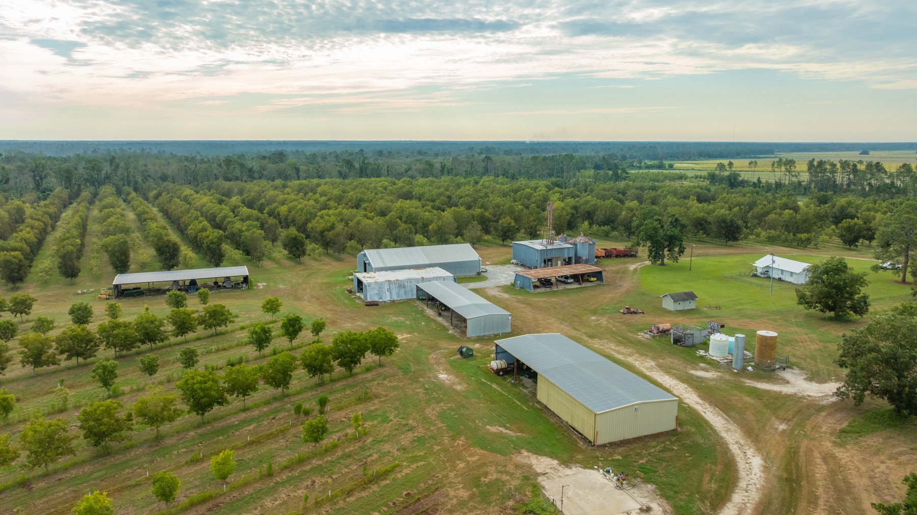 Image for 1,181± Acres - Patten Orchard - Premium Irrigated Pecan Operation - Long-Term Orchard Income w/ Improvements - Merchantable Timber Stand & Creek Frontage