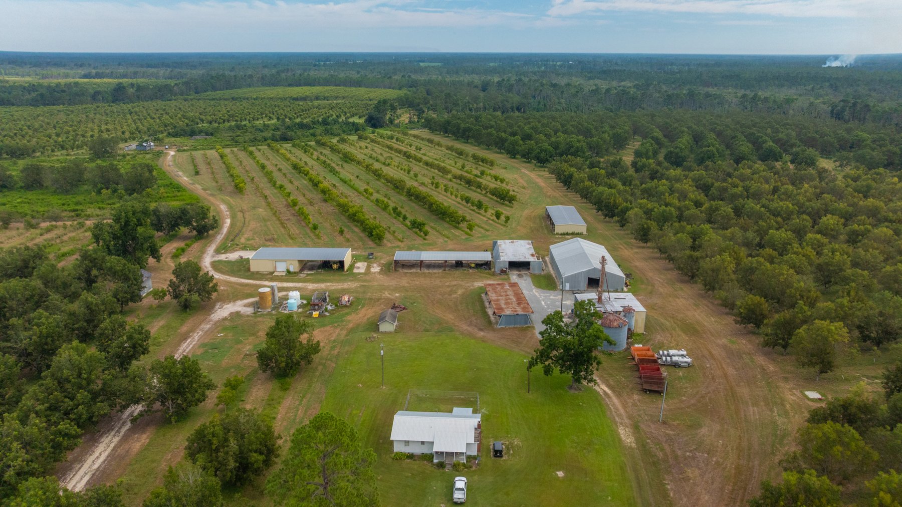 Image for 1,181± Acres - Patten Orchard - Premium Irrigated Pecan Operation - Long-Term Orchard Income w/ Improvements - Merchantable Timber Stand & Creek Frontage