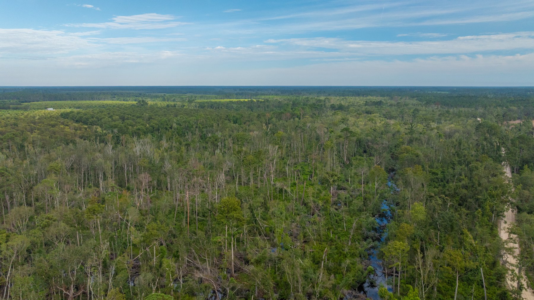 Image for 1,181± Acres - Patten Orchard - Premium Irrigated Pecan Operation - Long-Term Orchard Income w/ Improvements - Merchantable Timber Stand & Creek Frontage