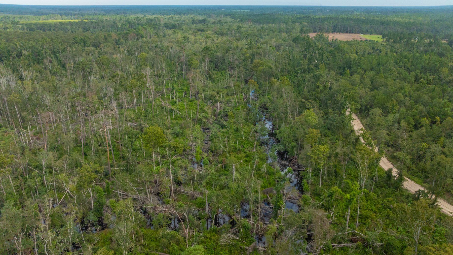 Image for 1,181± Acres - Patten Orchard - Premium Irrigated Pecan Operation - Long-Term Orchard Income w/ Improvements - Merchantable Timber Stand & Creek Frontage