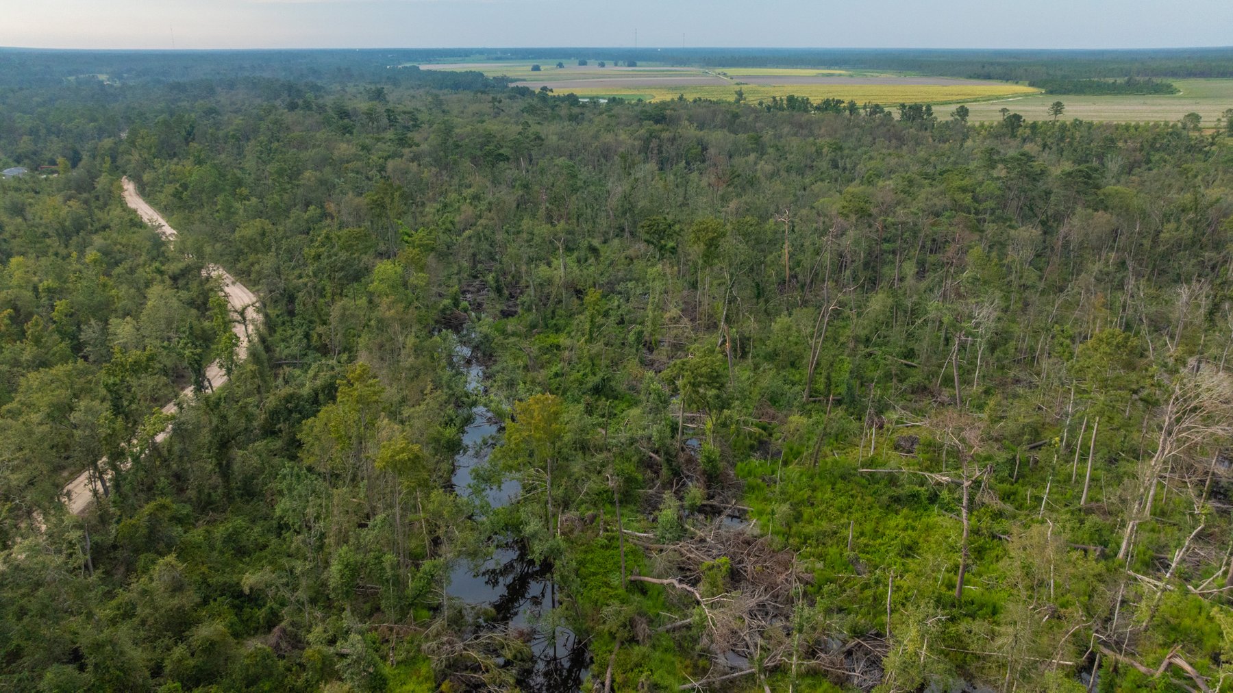 Image for 1,181± Acres - Patten Orchard - Premium Irrigated Pecan Operation - Long-Term Orchard Income w/ Improvements - Merchantable Timber Stand & Creek Frontage