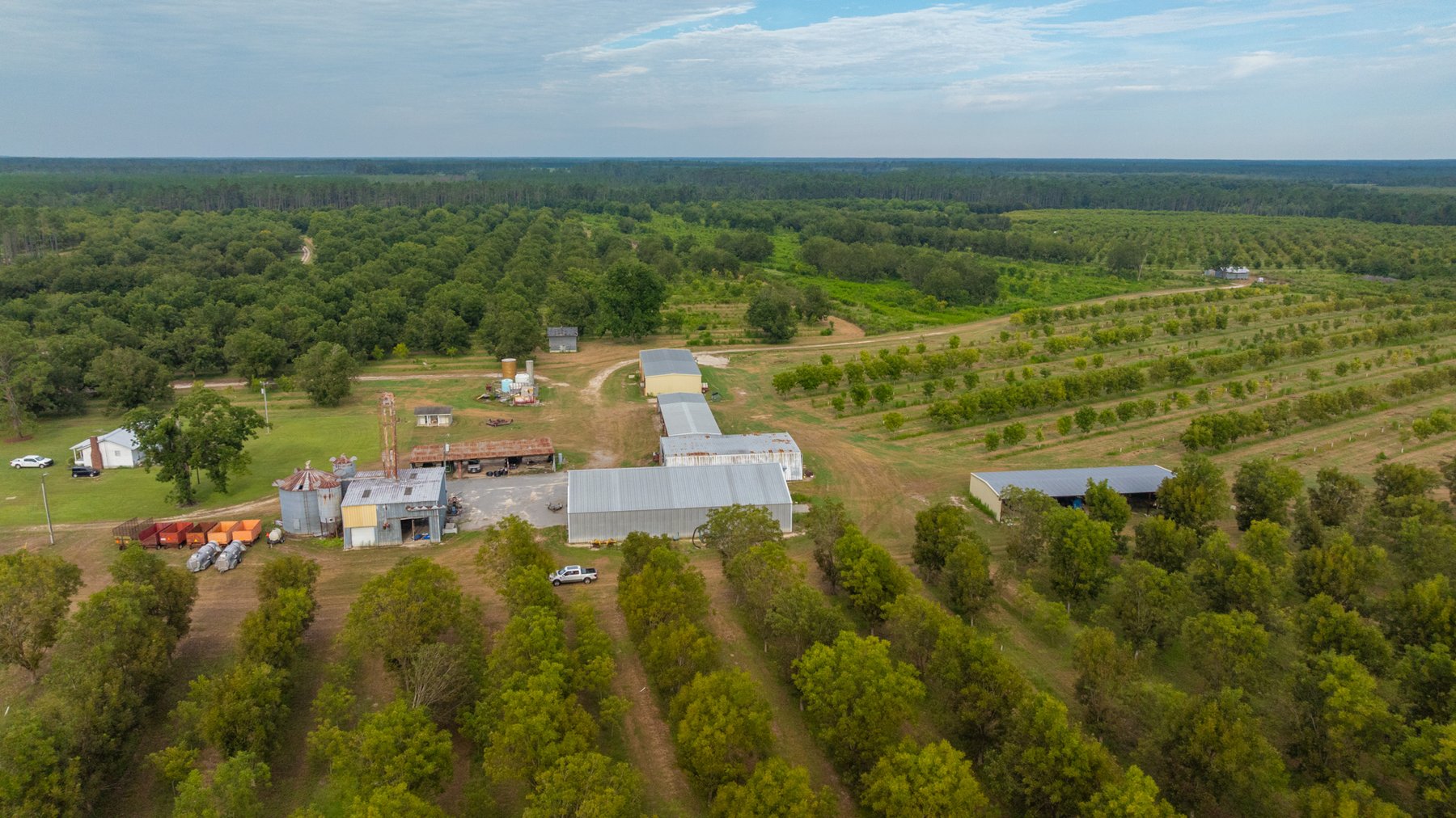 Image for 1,181± Acres - Patten Orchard - Premium Irrigated Pecan Operation - Long-Term Orchard Income w/ Improvements - Merchantable Timber Stand & Creek Frontage