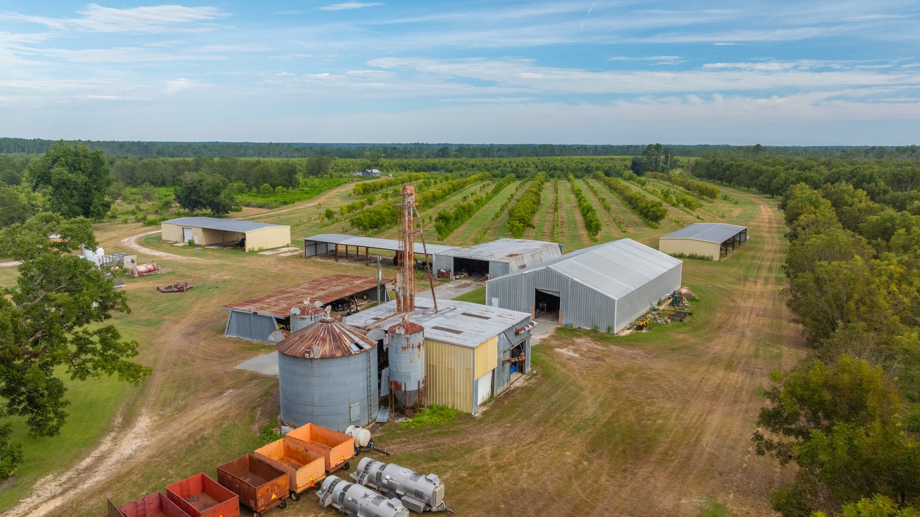 Image for 1,181± Acres - Patten Orchard - Premium Irrigated Pecan Operation - Long-Term Orchard Income w/ Improvements - Merchantable Timber Stand & Creek Frontage