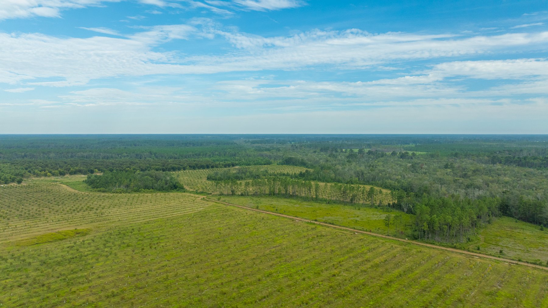 Image for 1,181± Acres - Patten Orchard - Premium Irrigated Pecan Operation - Long-Term Orchard Income w/ Improvements - Merchantable Timber Stand & Creek Frontage