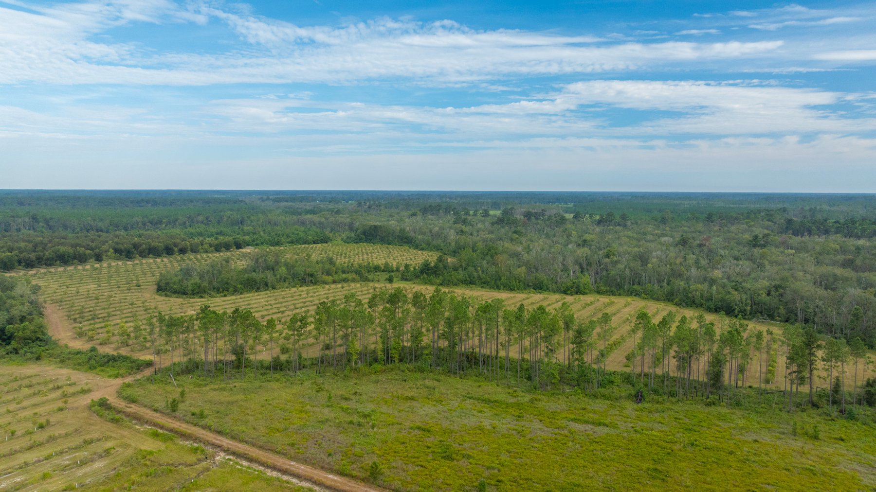 Image for 1,181± Acres - Patten Orchard - Premium Irrigated Pecan Operation - Long-Term Orchard Income w/ Improvements - Merchantable Timber Stand & Creek Frontage