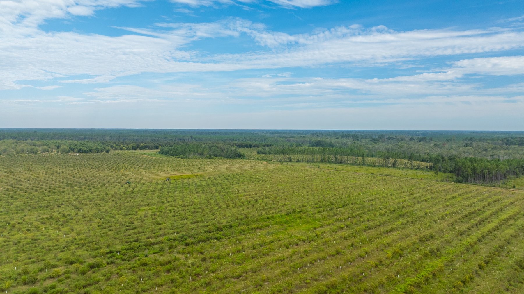 Image for 1,181± Acres - Patten Orchard - Premium Irrigated Pecan Operation - Long-Term Orchard Income w/ Improvements - Merchantable Timber Stand & Creek Frontage