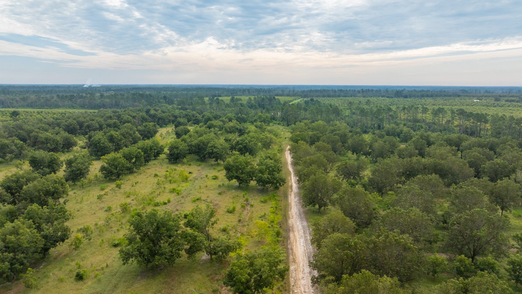 Image for 1,181± Acres - Patten Orchard - Premium Irrigated Pecan Operation - Long-Term Orchard Income w/ Improvements - Merchantable Timber Stand & Creek Frontage