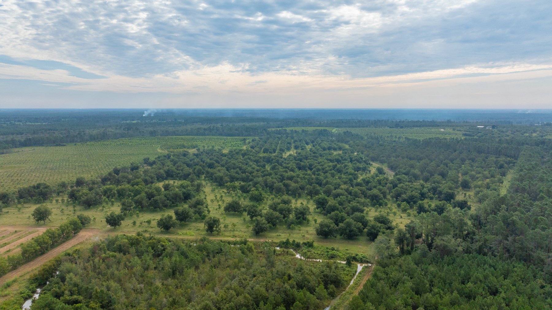 Image for 1,181± Acres - Patten Orchard - Premium Irrigated Pecan Operation - Long-Term Orchard Income w/ Improvements - Merchantable Timber Stand & Creek Frontage
