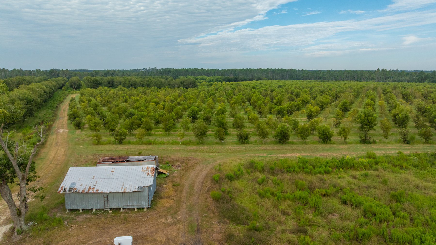 Image for 1,181± Acres - Patten Orchard - Premium Irrigated Pecan Operation - Long-Term Orchard Income w/ Improvements - Merchantable Timber Stand & Creek Frontage