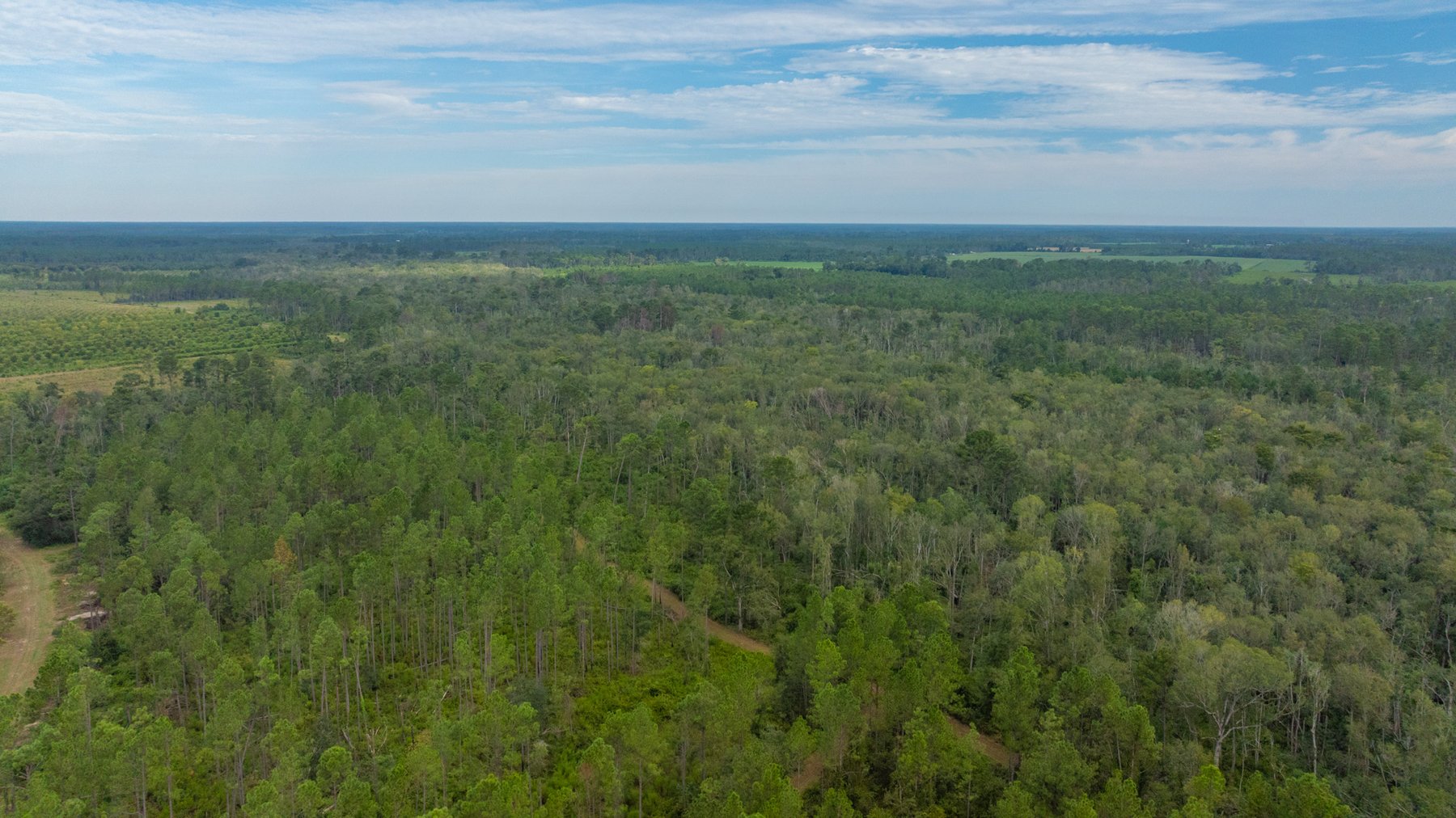 Image for 1,181± Acres - Patten Orchard - Premium Irrigated Pecan Operation - Long-Term Orchard Income w/ Improvements - Merchantable Timber Stand & Creek Frontage