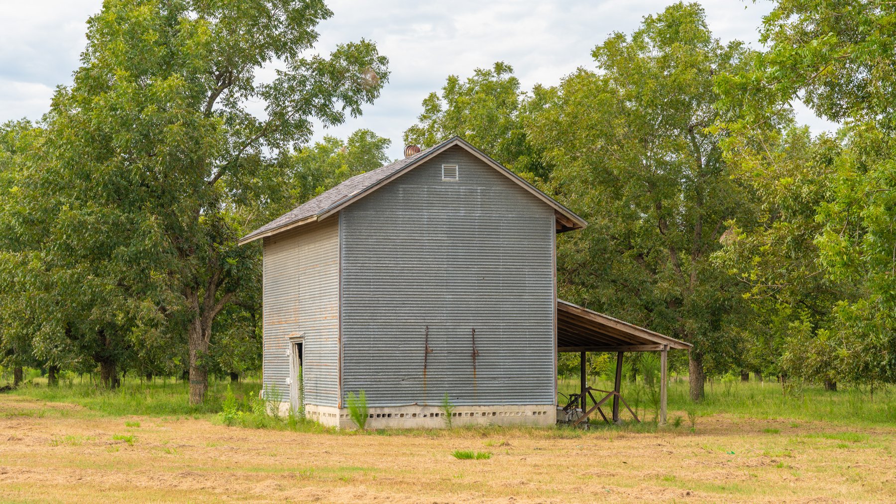 Image for 1,181± Acres - Patten Orchard - Premium Irrigated Pecan Operation - Long-Term Orchard Income w/ Improvements - Merchantable Timber Stand & Creek Frontage