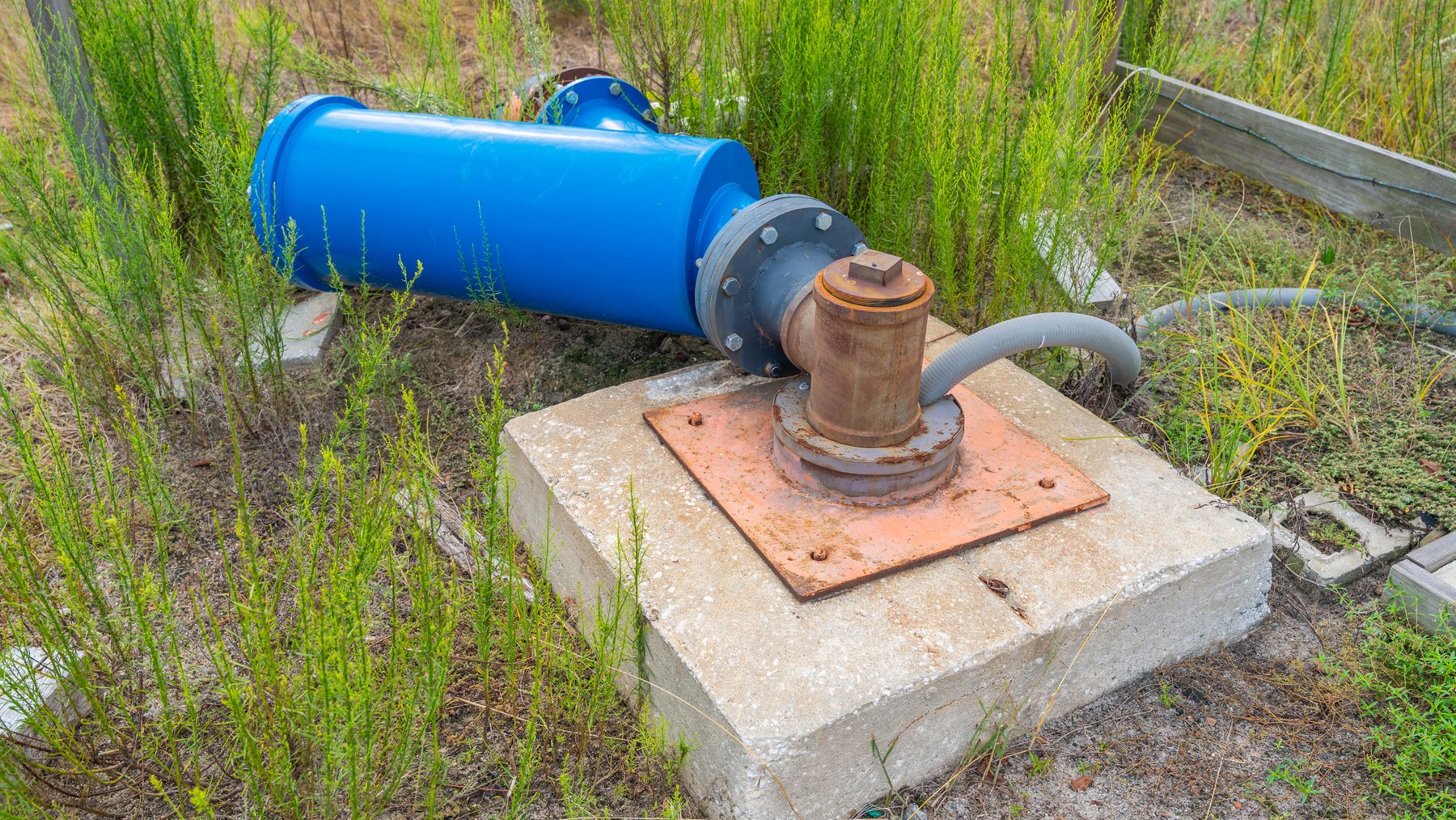 Image for 1,181± Acres - Patten Orchard - Premium Irrigated Pecan Operation - Long-Term Orchard Income w/ Improvements - Merchantable Timber Stand & Creek Frontage