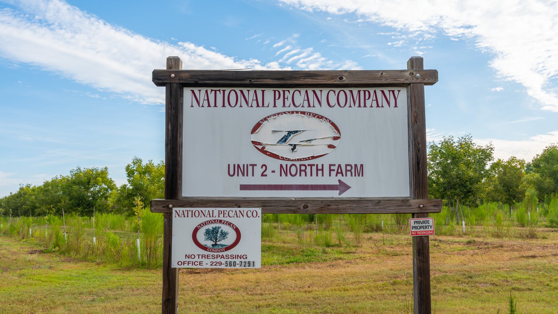 Image for 1,181± Acres - Patten Orchard - Premium Irrigated Pecan Operation - Long-Term Orchard Income w/ Improvements - Merchantable Timber Stand & Creek Frontage