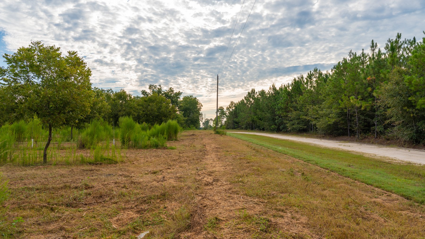Image for 1,181± Acres - Patten Orchard - Premium Irrigated Pecan Operation - Long-Term Orchard Income w/ Improvements - Merchantable Timber Stand & Creek Frontage