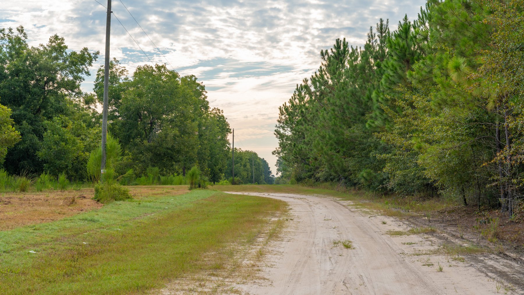 Image for 1,181± Acres - Patten Orchard - Premium Irrigated Pecan Operation - Long-Term Orchard Income w/ Improvements - Merchantable Timber Stand & Creek Frontage