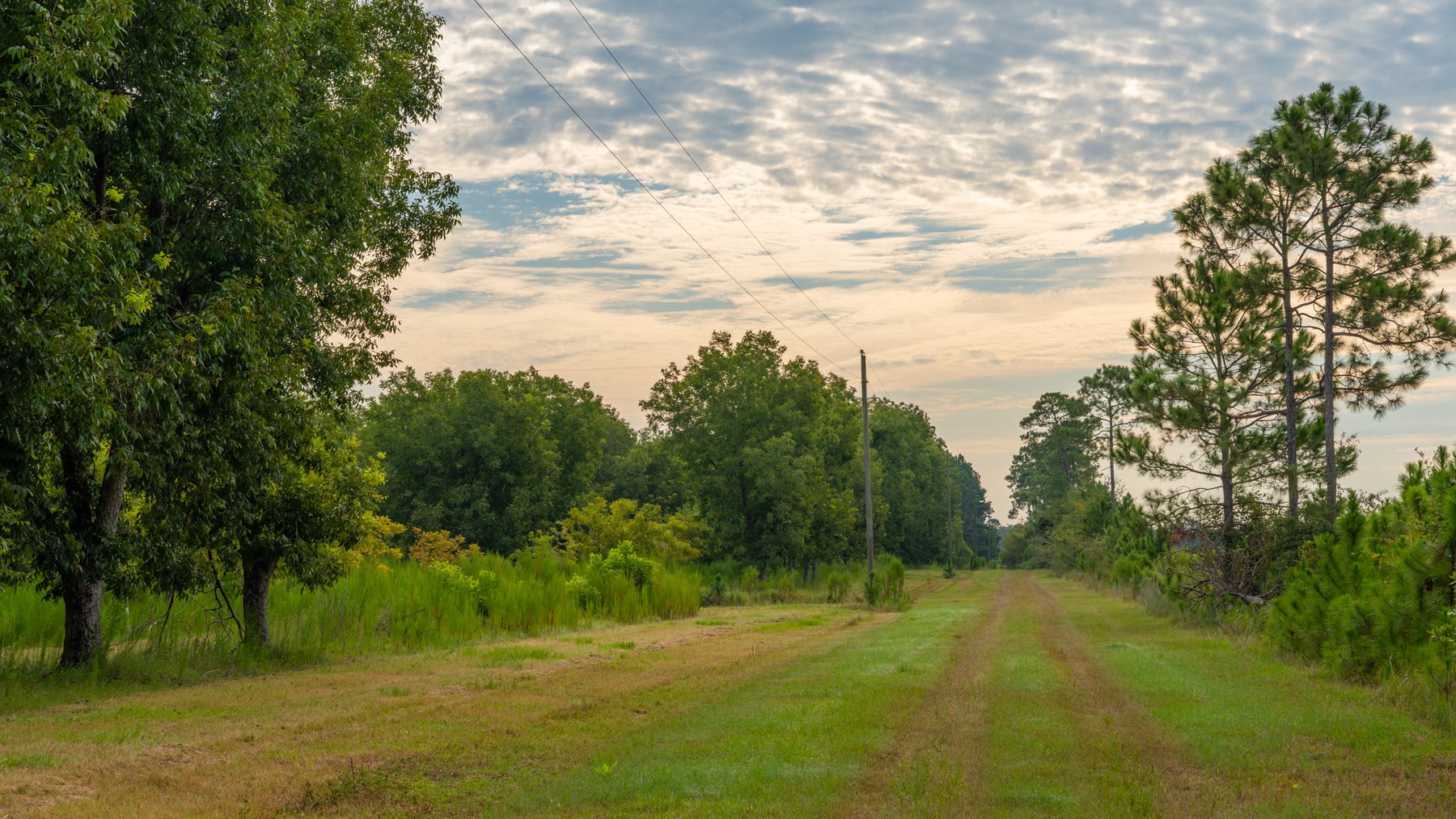 Image for 1,181± Acres - Patten Orchard - Premium Irrigated Pecan Operation - Long-Term Orchard Income w/ Improvements - Merchantable Timber Stand & Creek Frontage