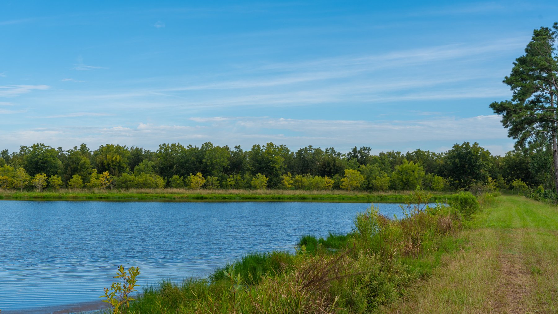 Image for 1,181± Acres - Patten Orchard - Premium Irrigated Pecan Operation - Long-Term Orchard Income w/ Improvements - Merchantable Timber Stand & Creek Frontage