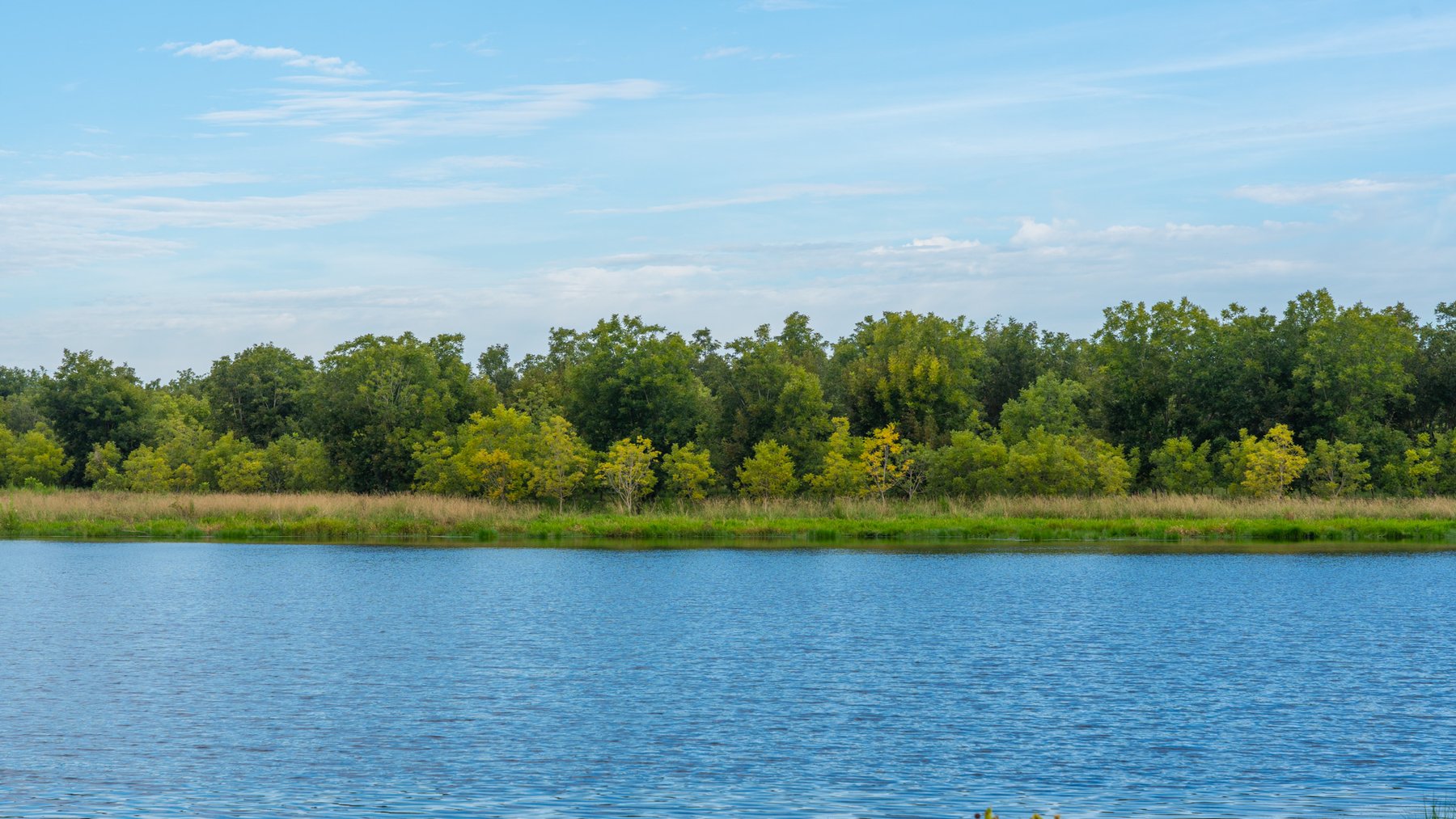 Image for 1,181± Acres - Patten Orchard - Premium Irrigated Pecan Operation - Long-Term Orchard Income w/ Improvements - Merchantable Timber Stand & Creek Frontage